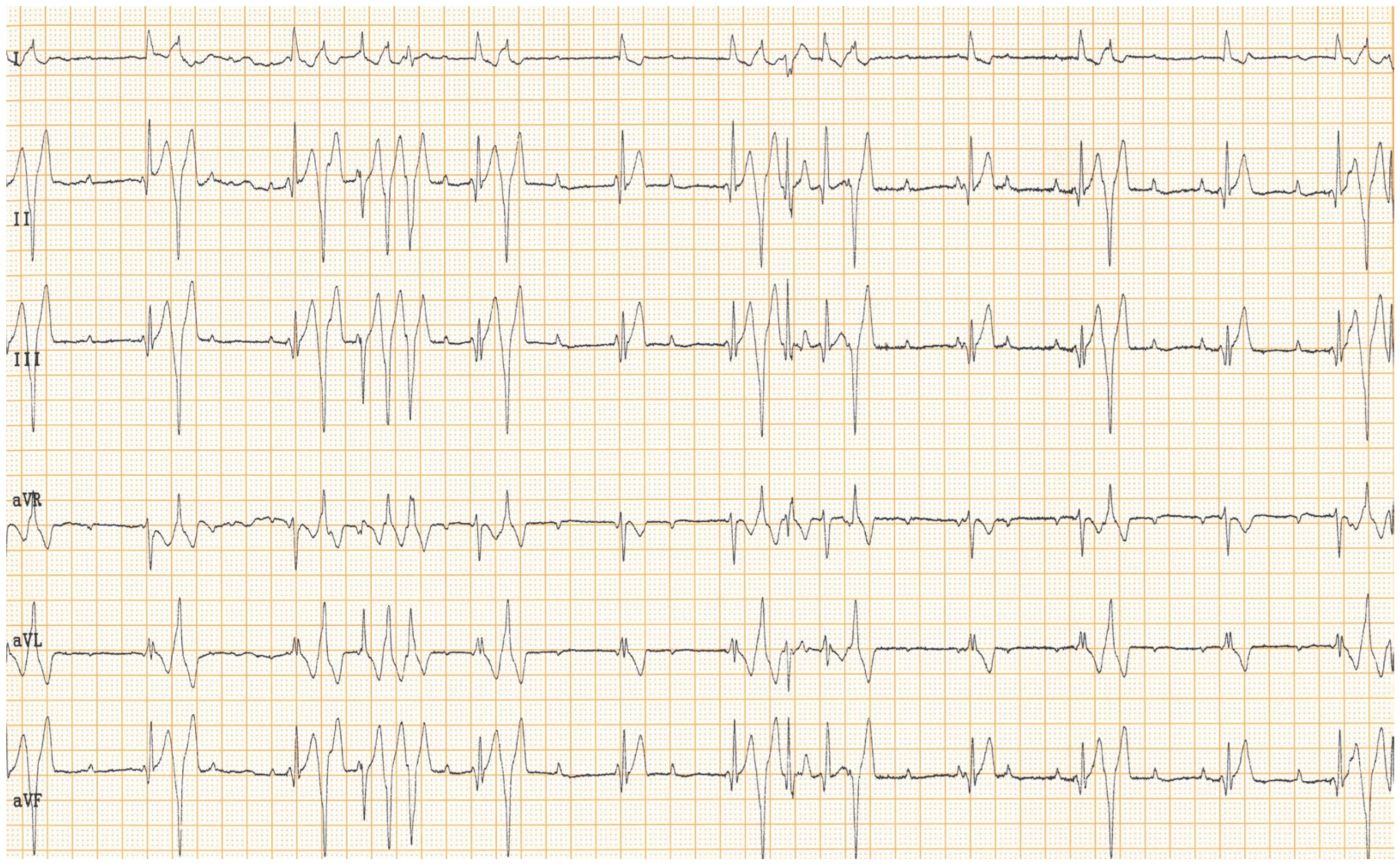 Vetsci 11 00237 g004