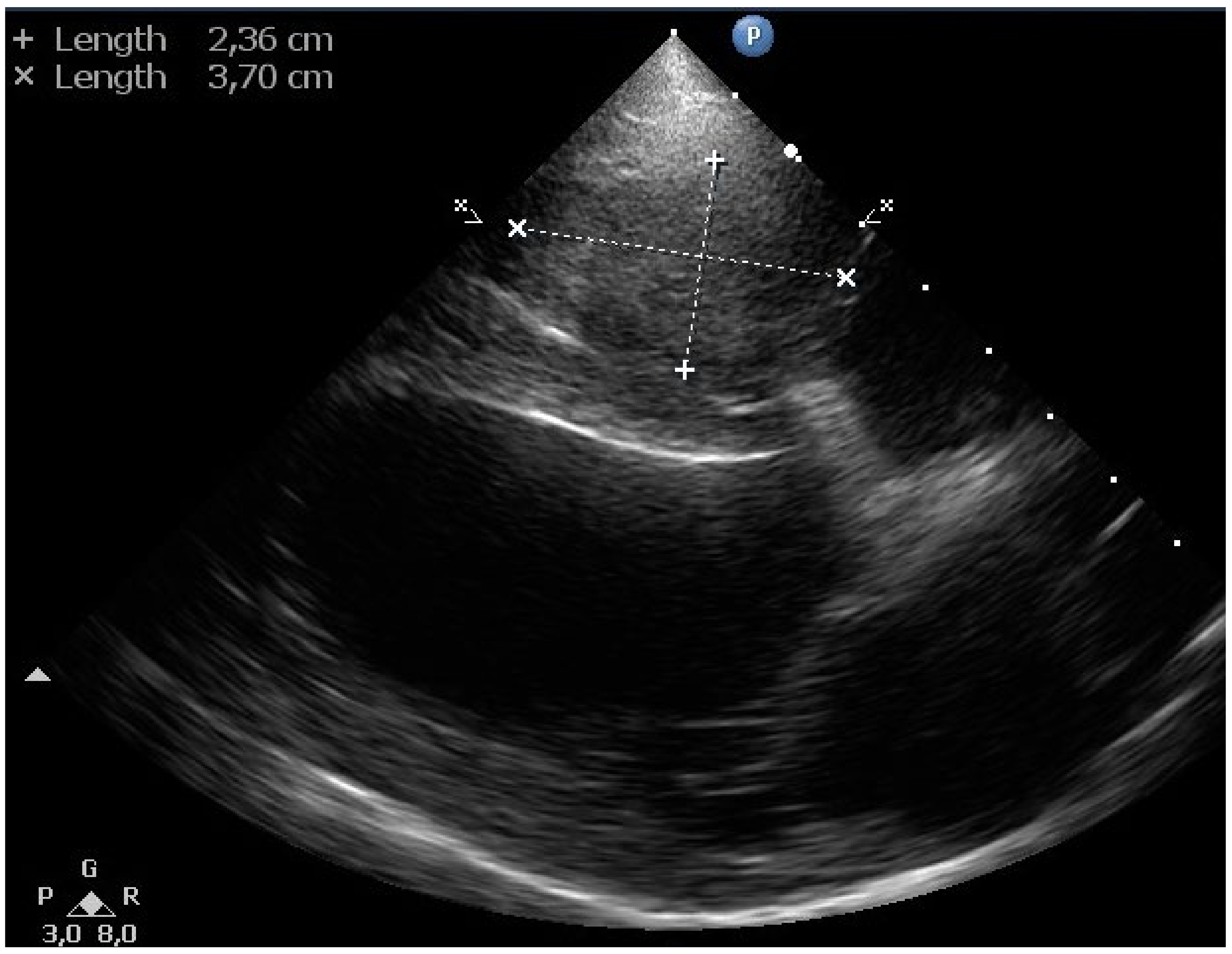 Vetsci 11 00237 g005
