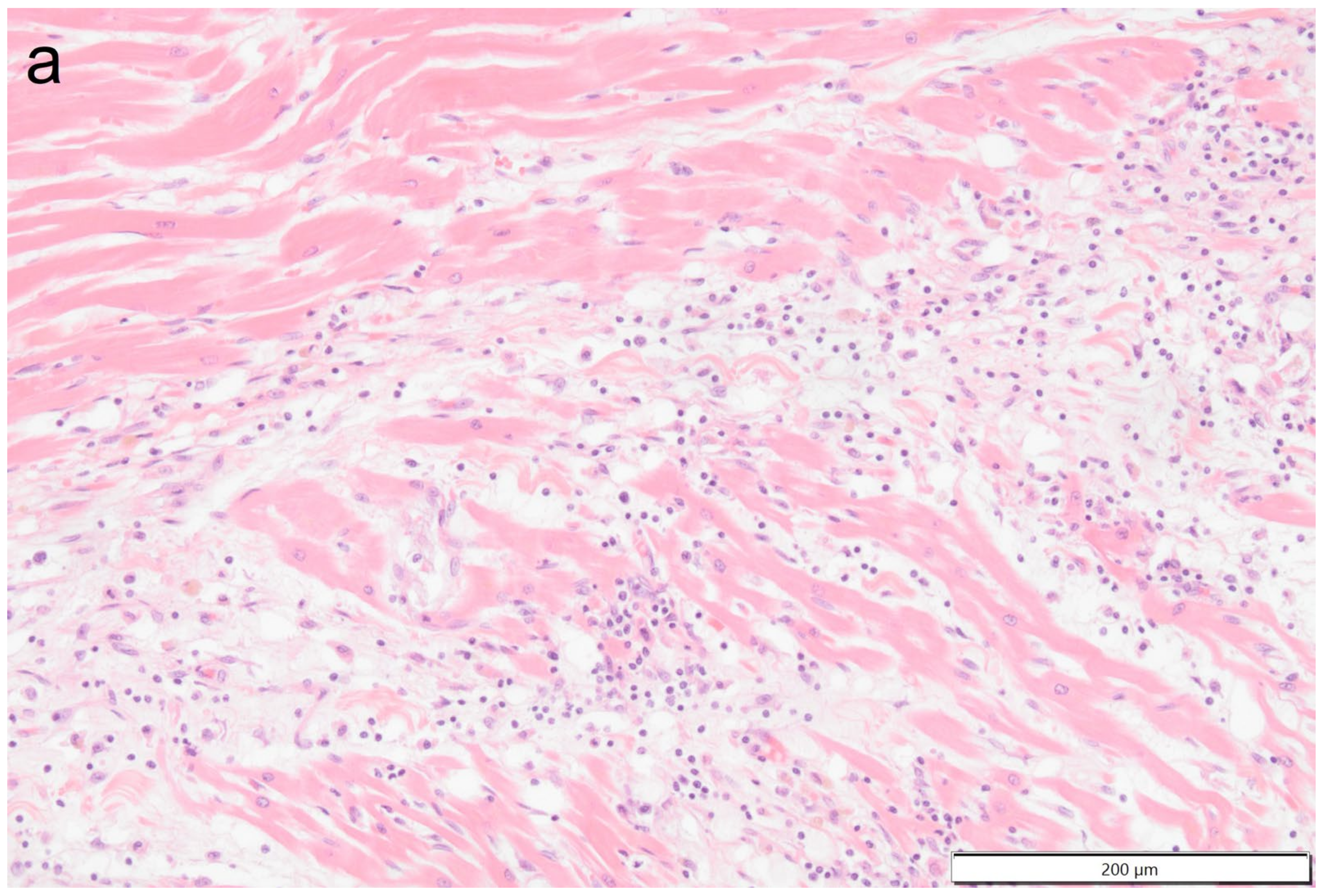 Vetsci 11 00237 g010a