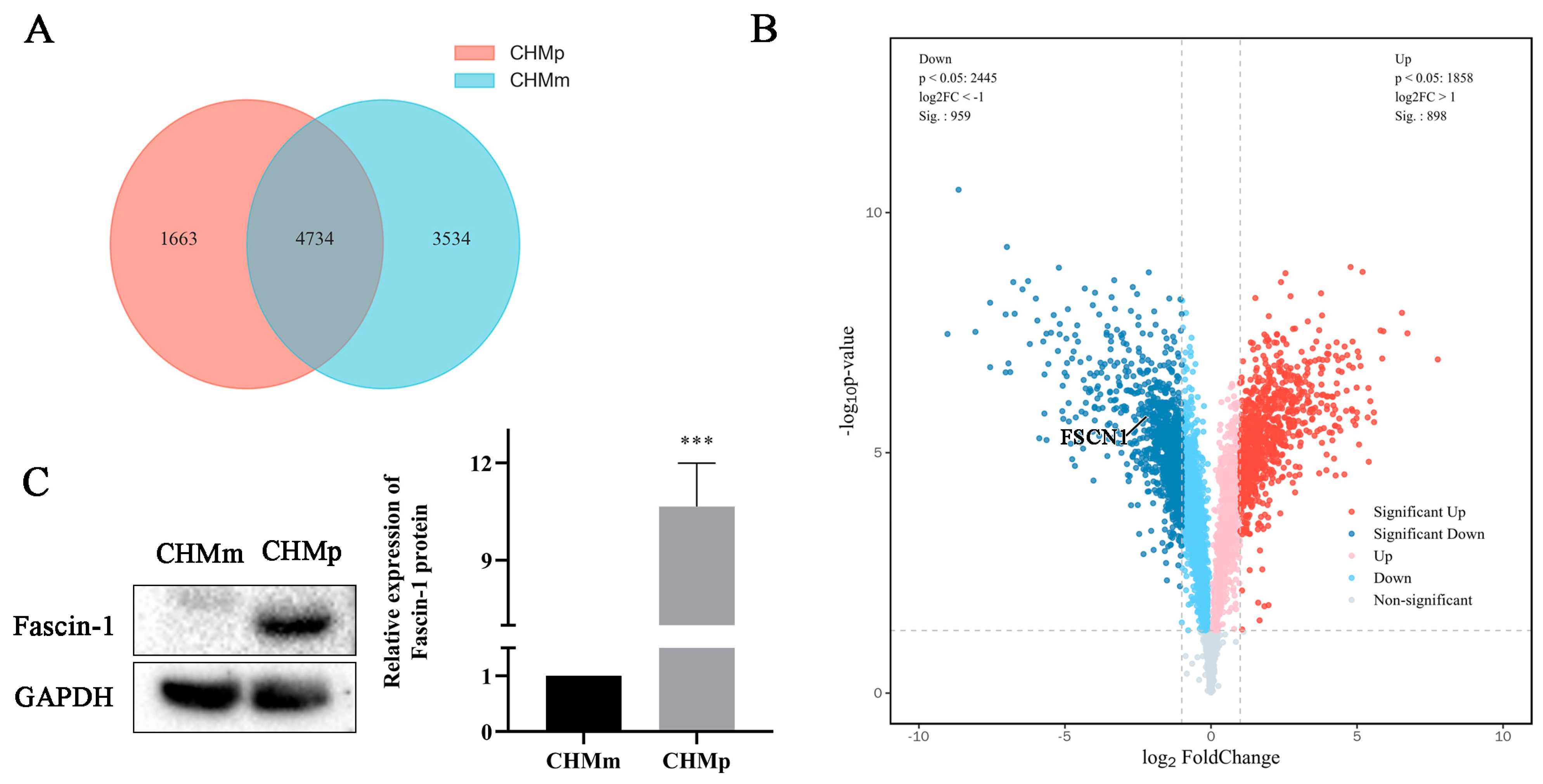 Vetsci 11 00238 g001
