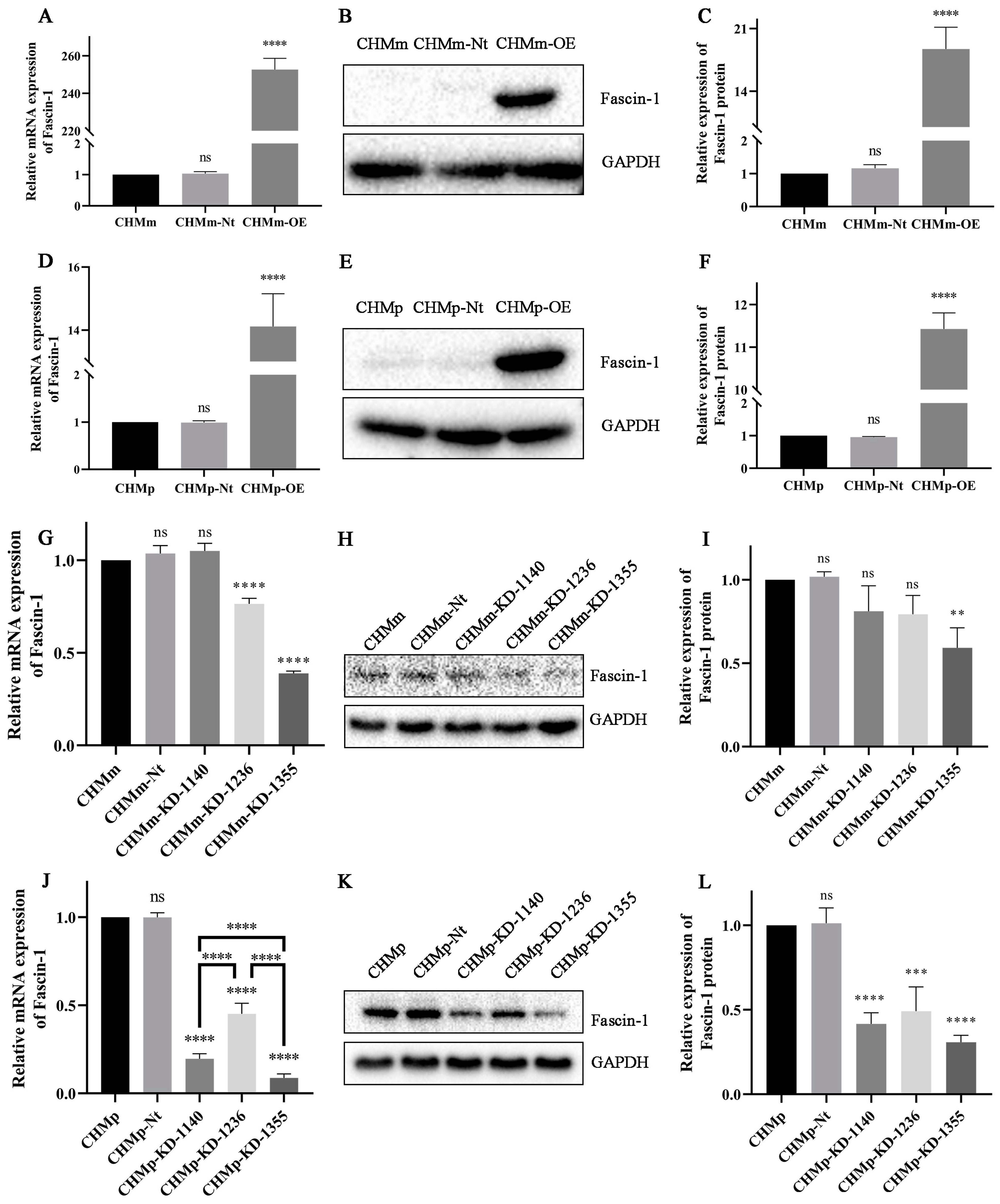 Vetsci 11 00238 g002