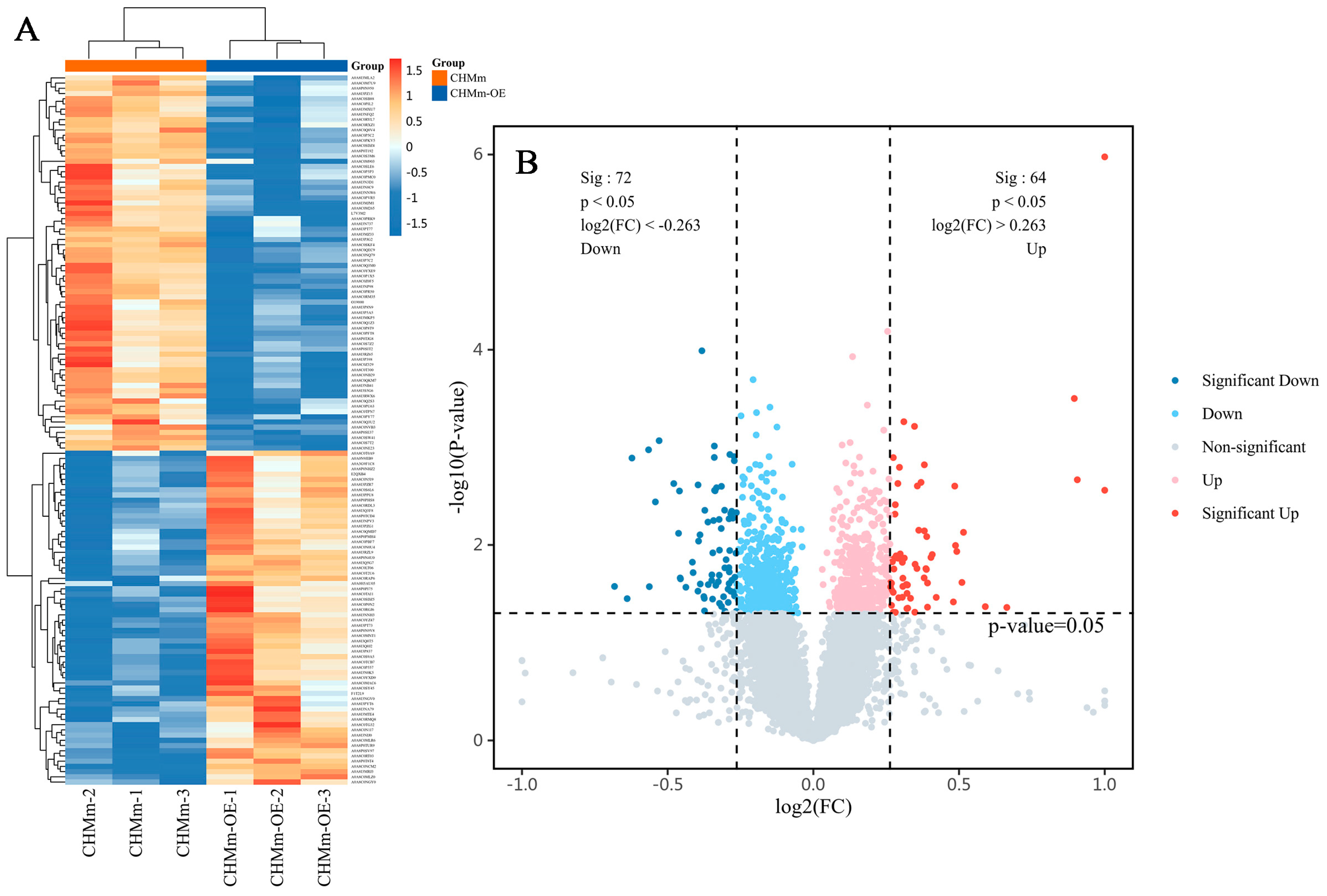 Vetsci 11 00238 g006