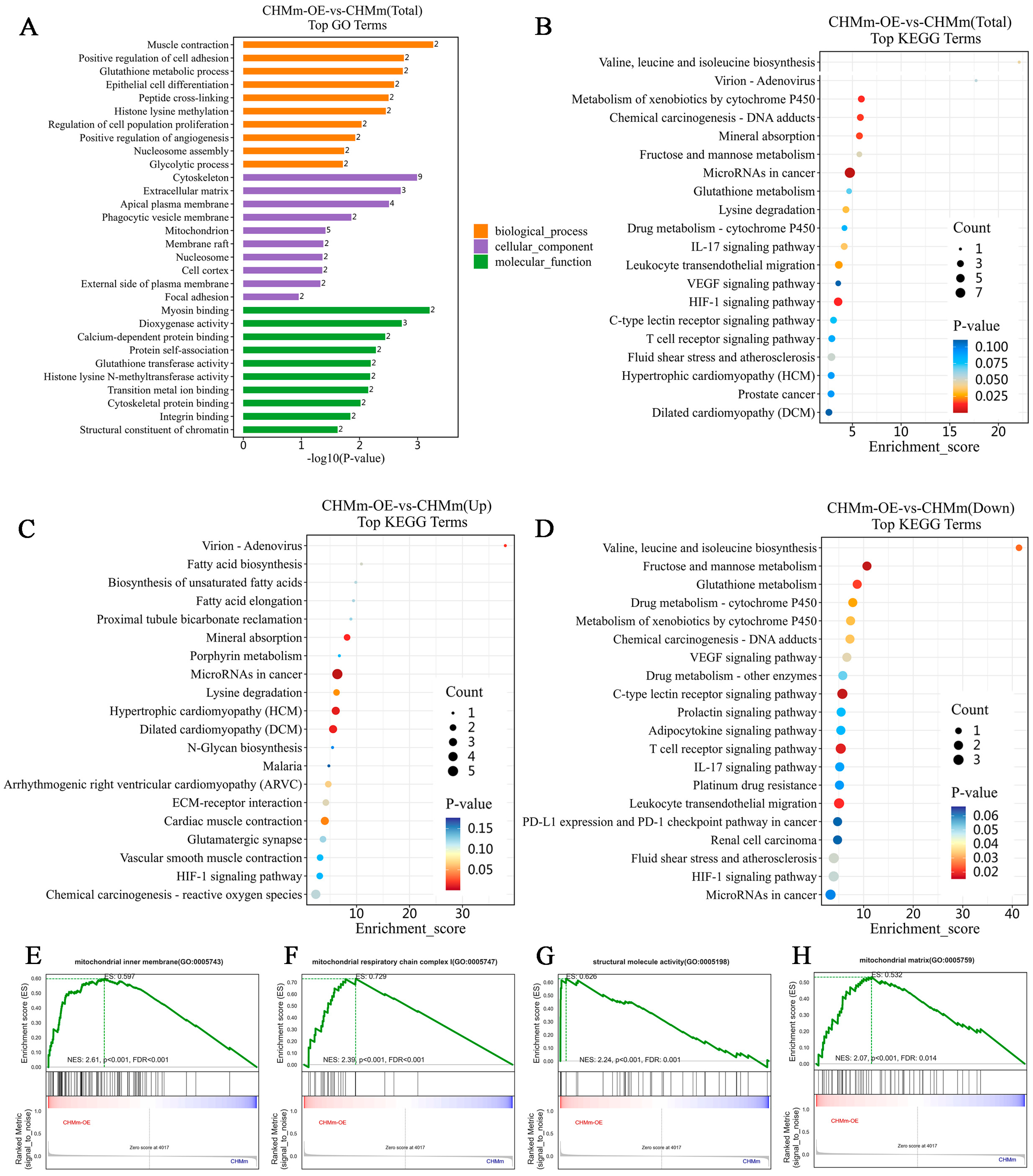 Vetsci 11 00238 g007