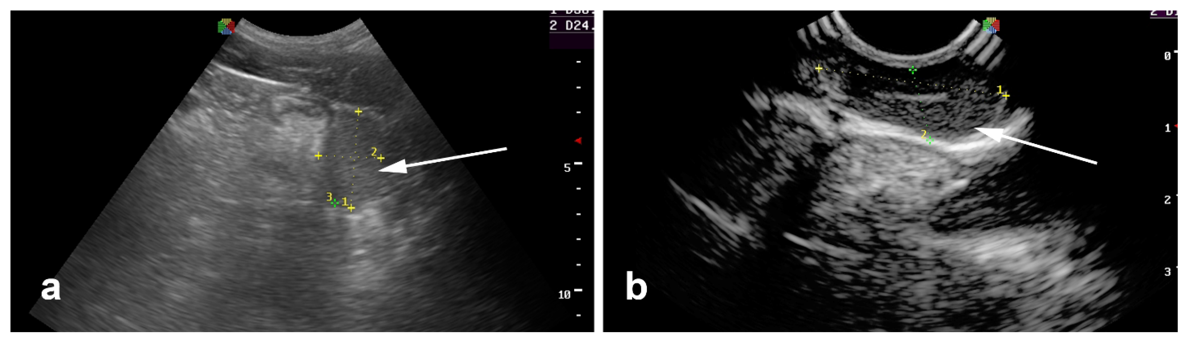Vetsci 11 00243 g010 Vetsci 11 00243 g010
