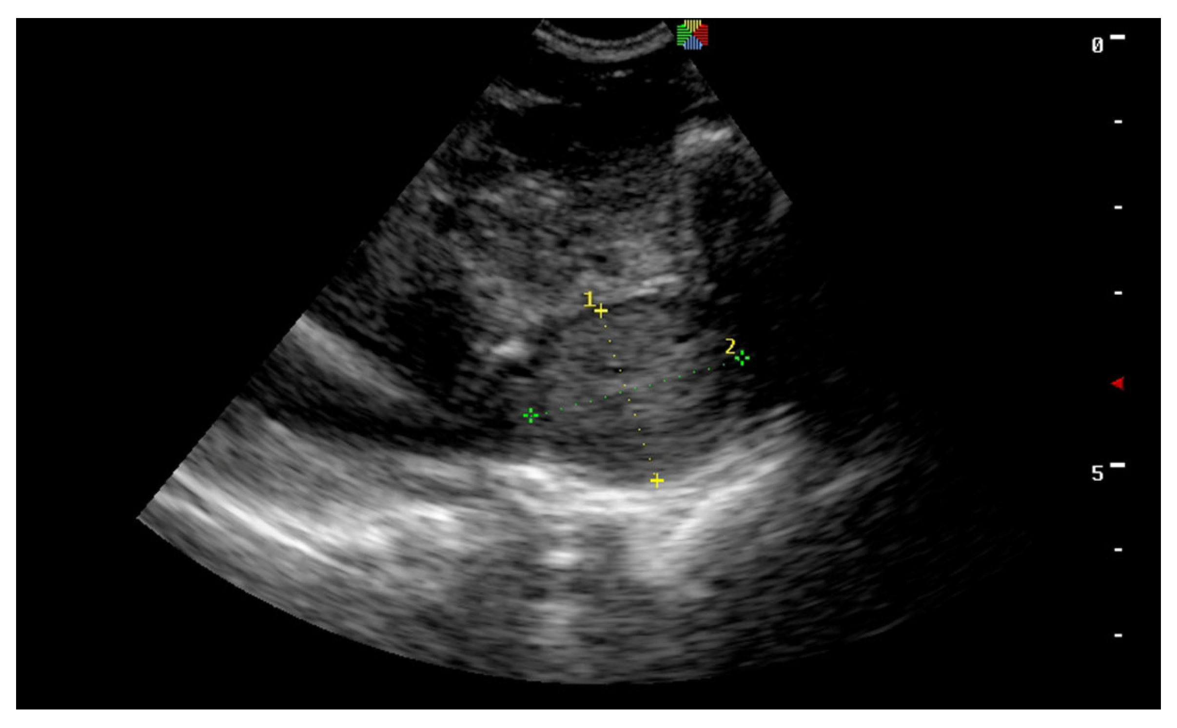 Vetsci 11 00243 g011 Vetsci 11 00243 g011