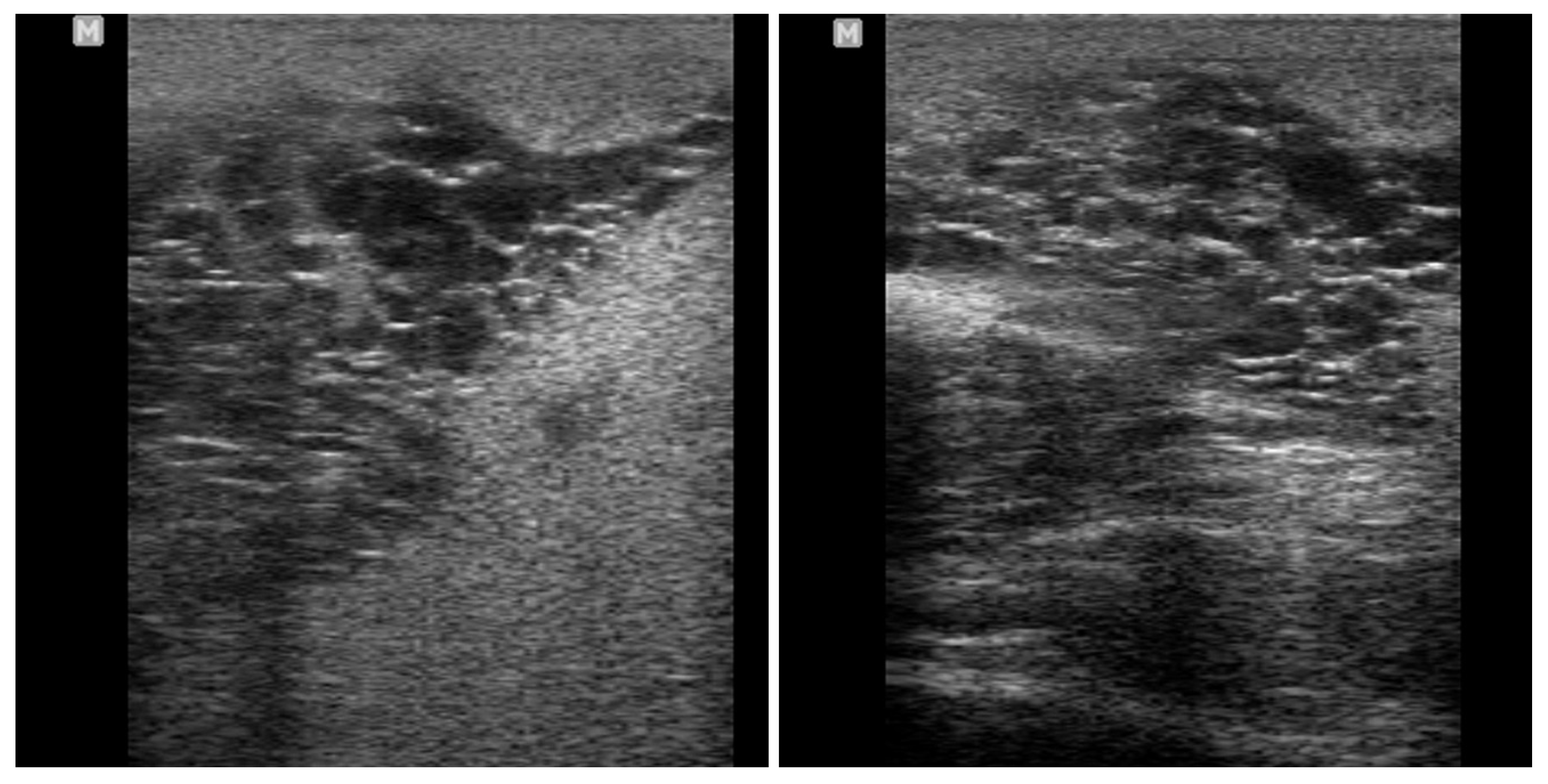 Vetsci 11 00243 g024 Vetsci 11 00243 g024