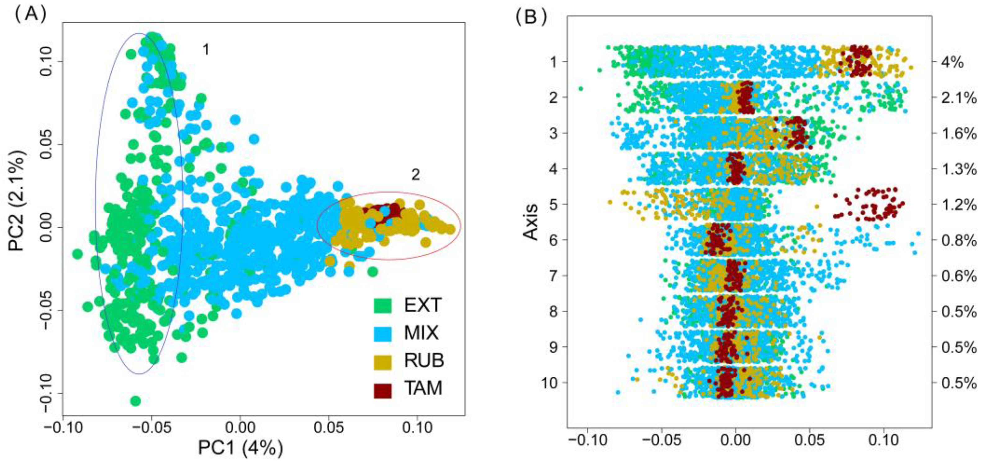Vetsci 11 00247 g002