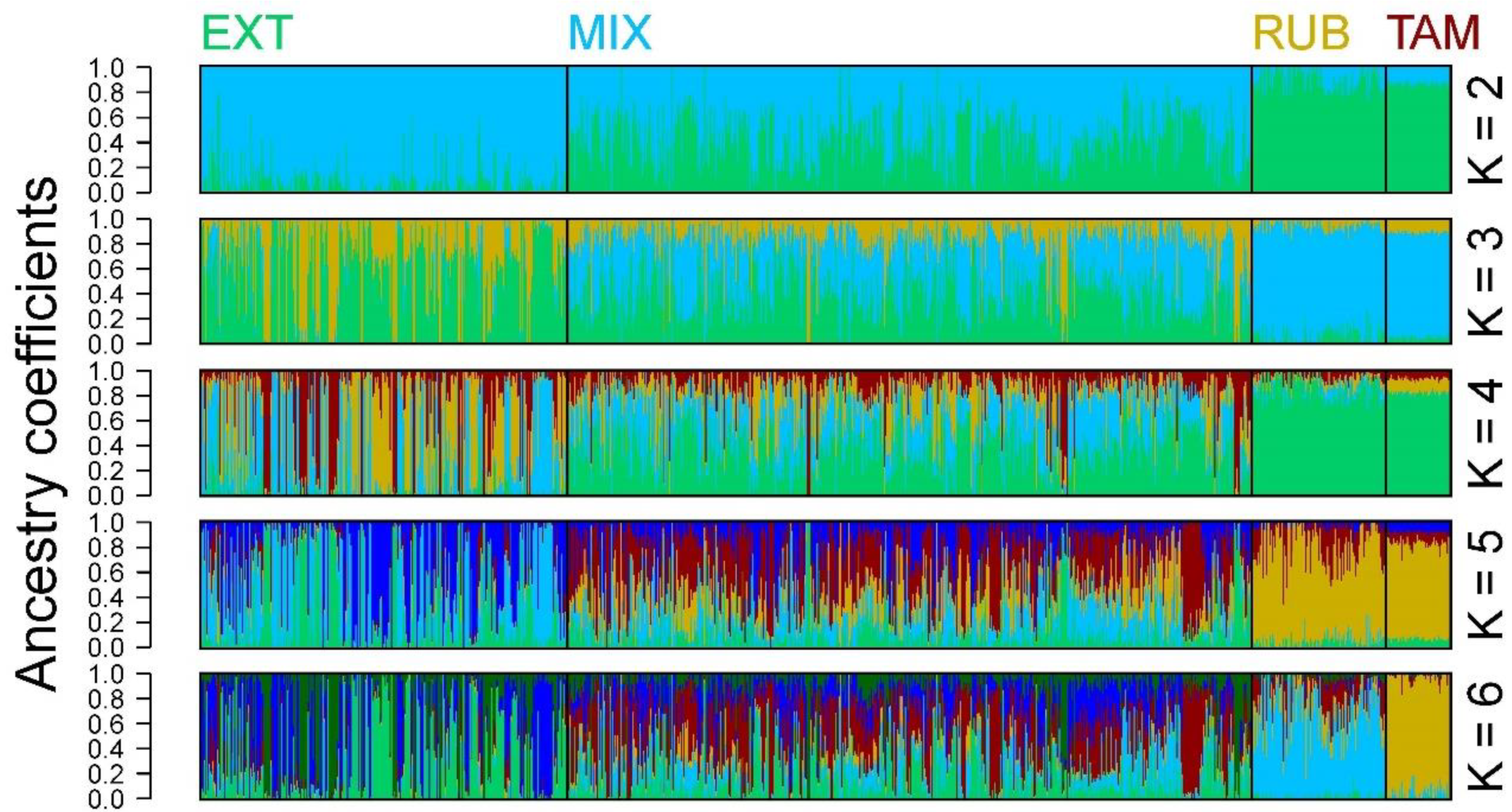 Vetsci 11 00247 g004