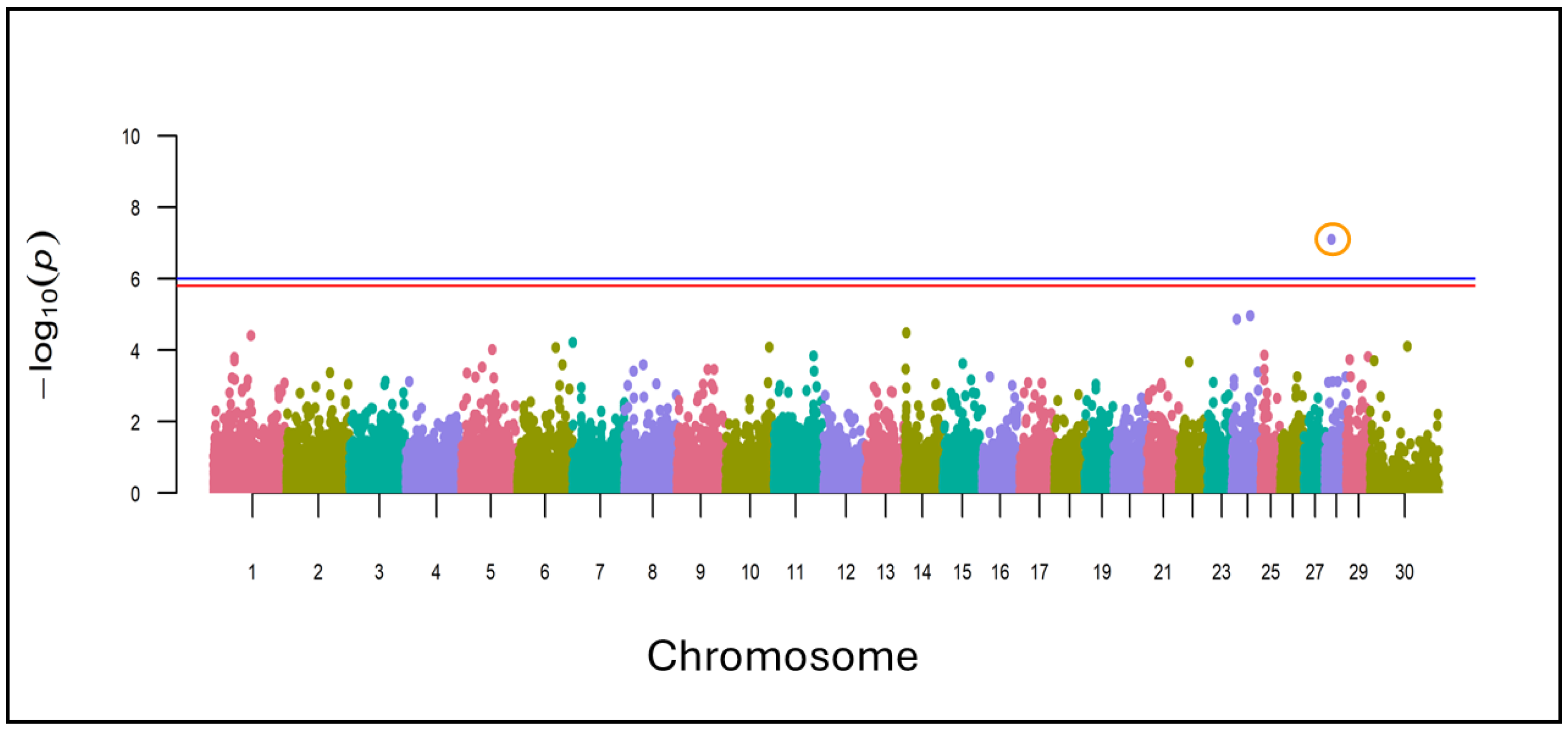 Vetsci 11 00247 g005