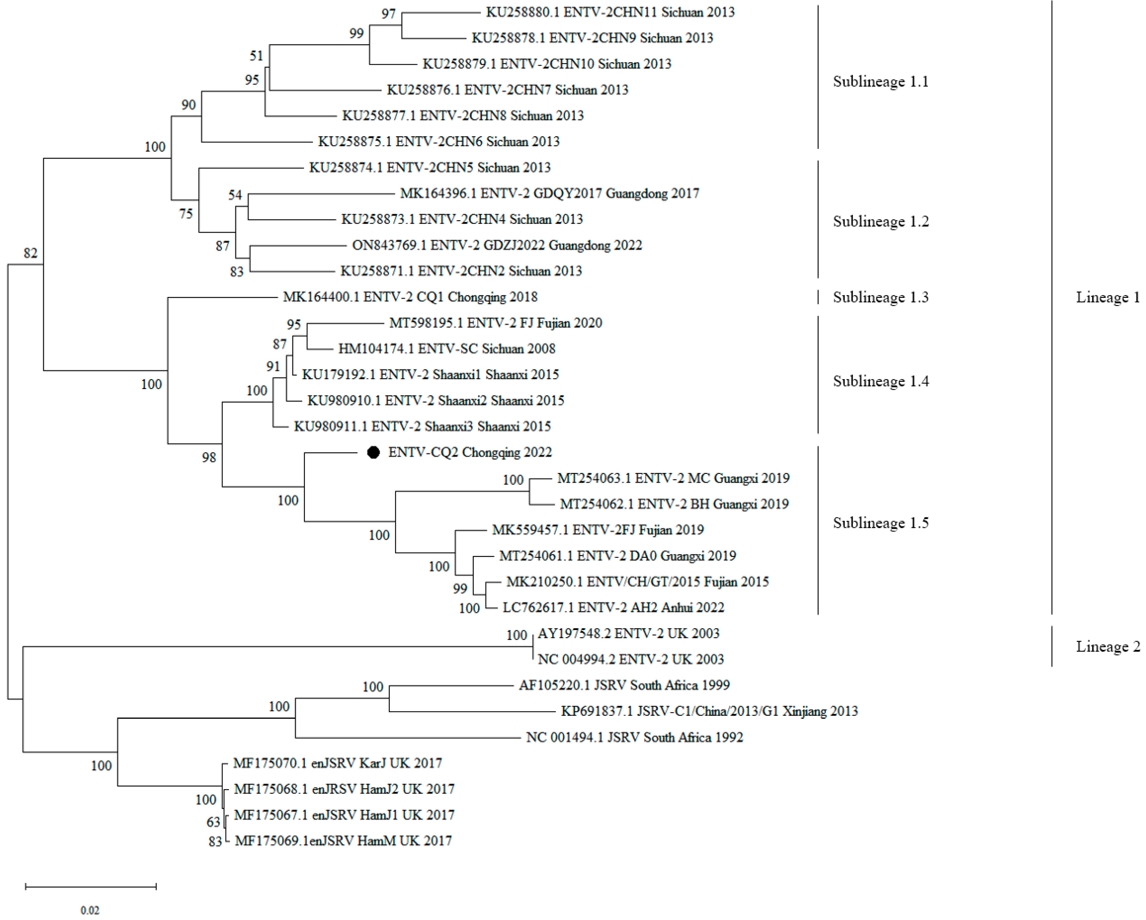 Vetsci 11 00248 g002