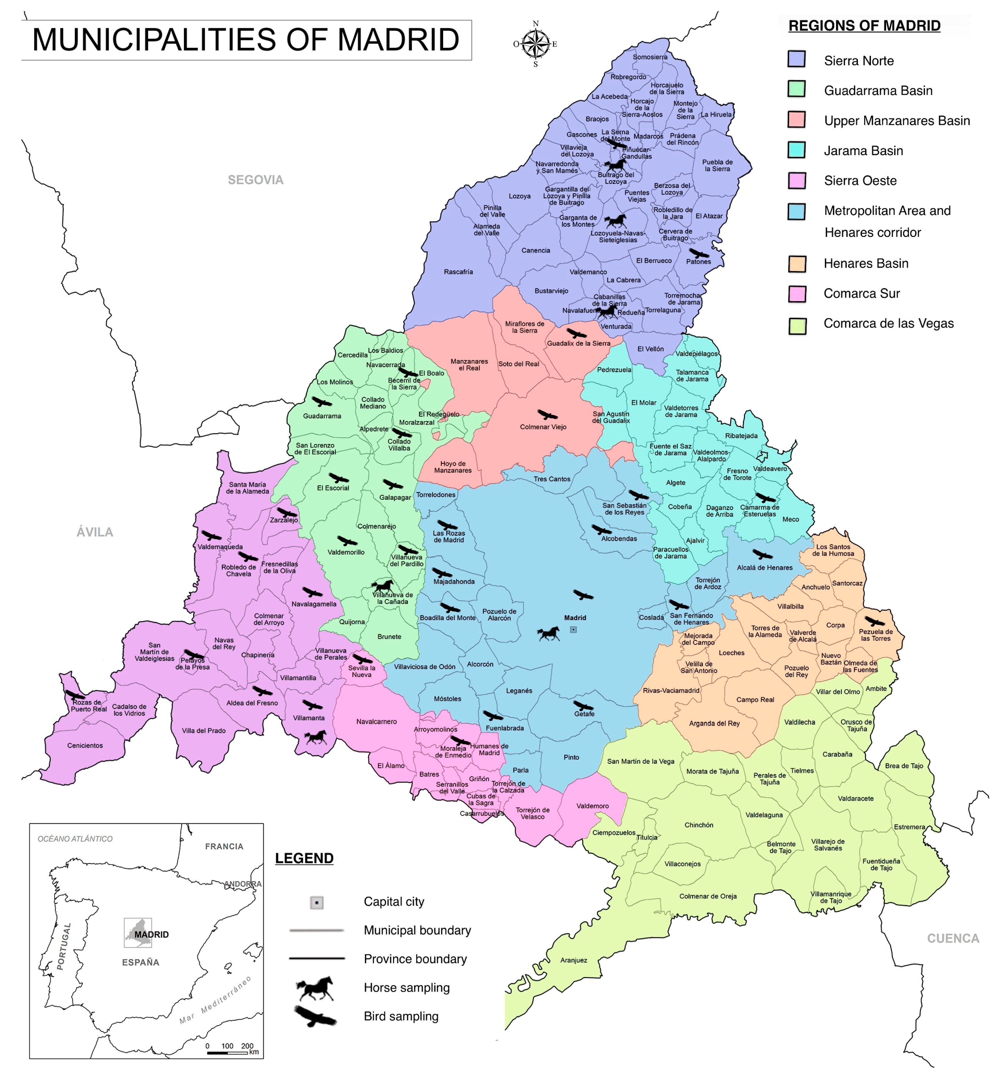 Vetsci 11 00259 g001