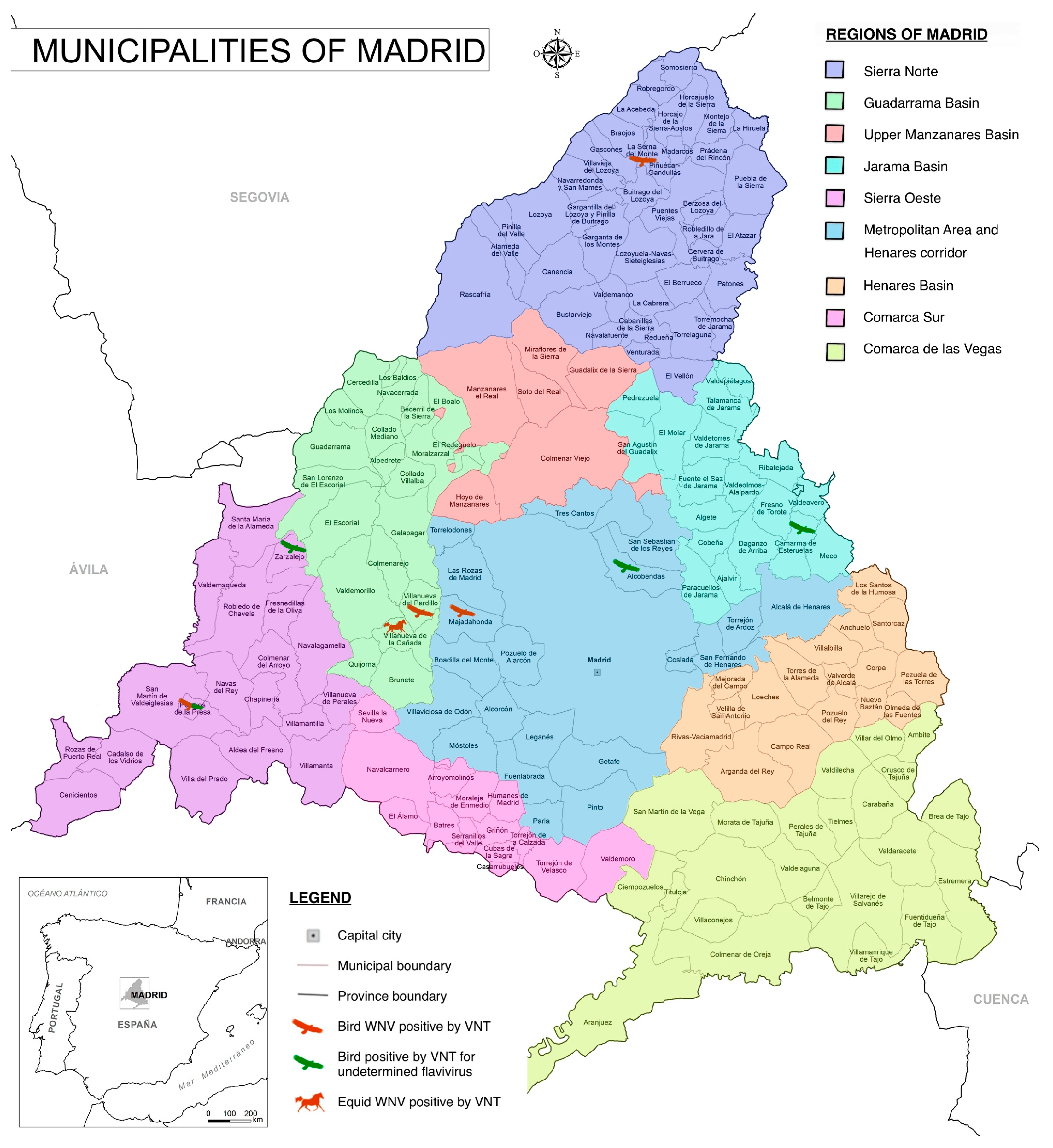 Vetsci 11 00259 g002