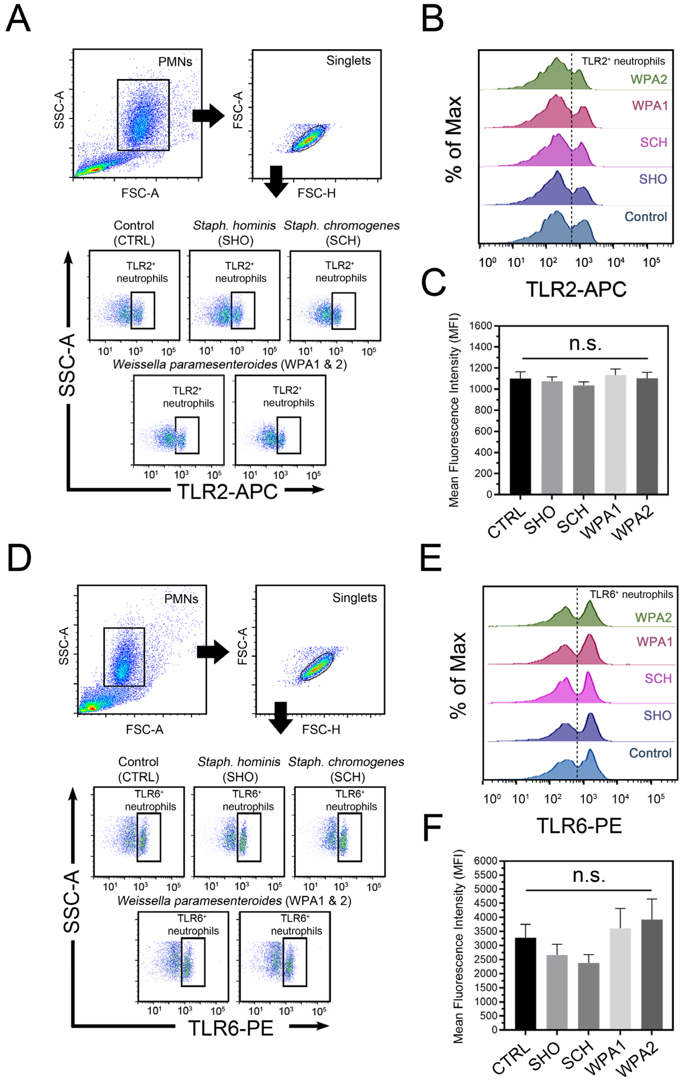 Vetsci 11 00262 g002
