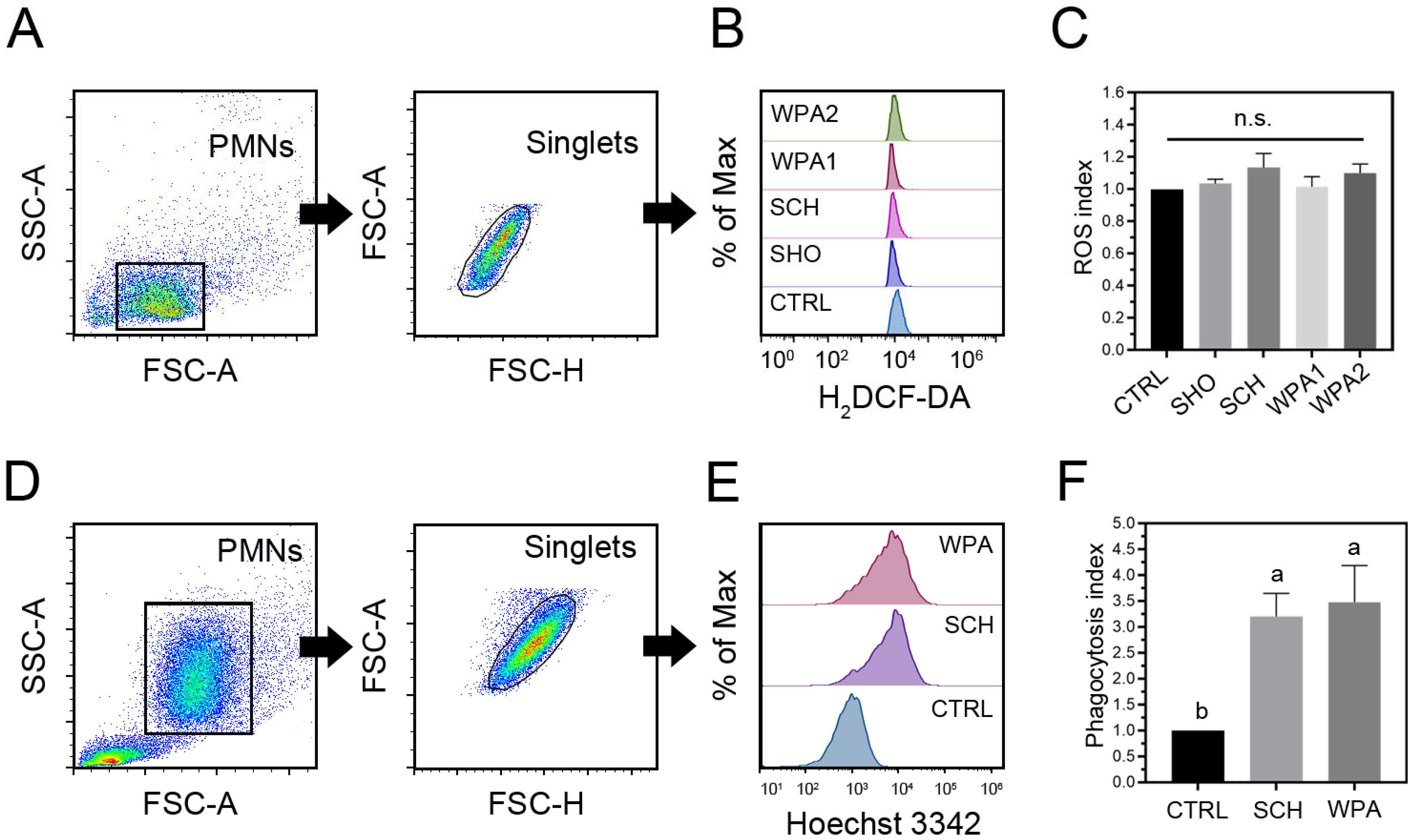 Vetsci 11 00262 g003