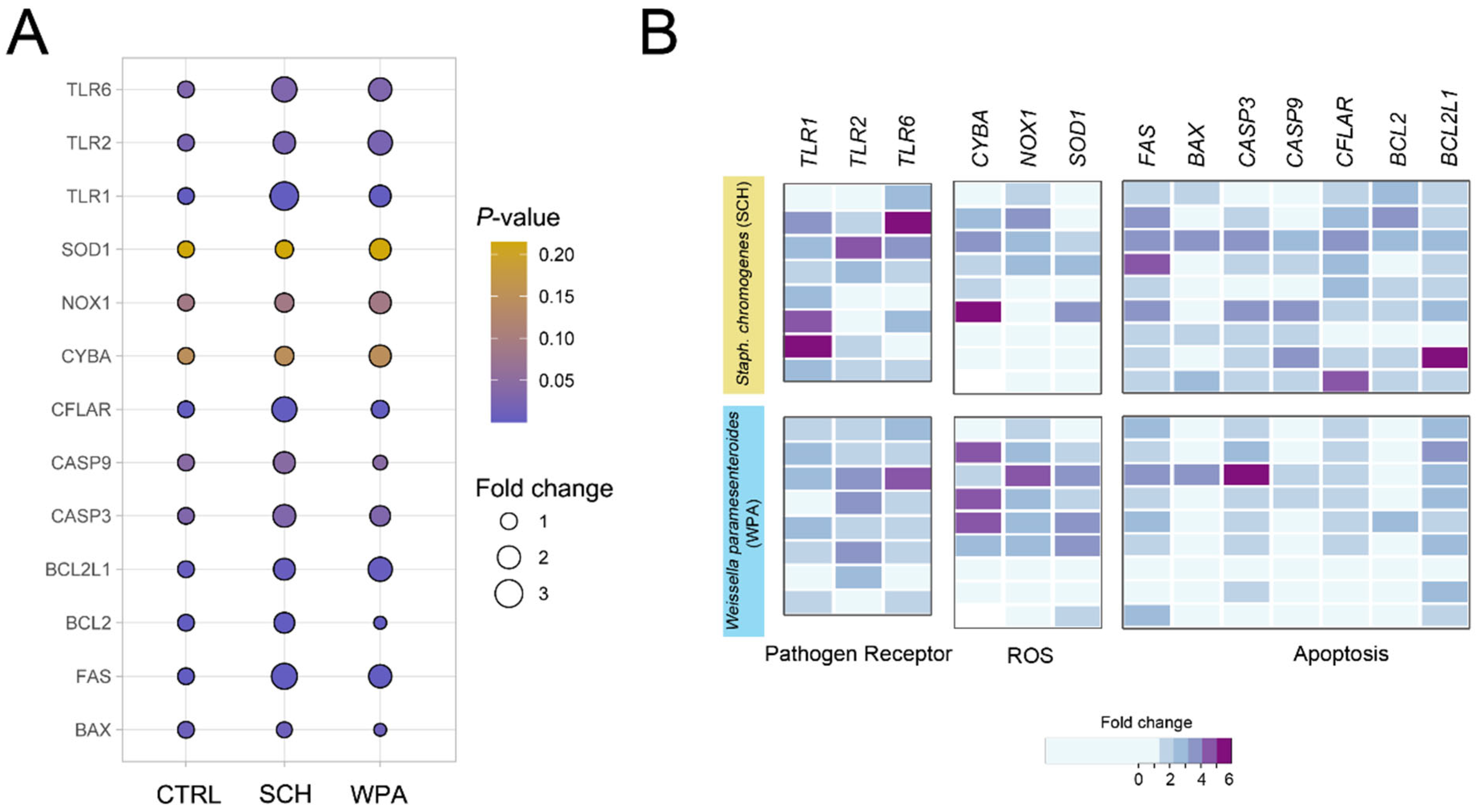 Vetsci 11 00262 g005