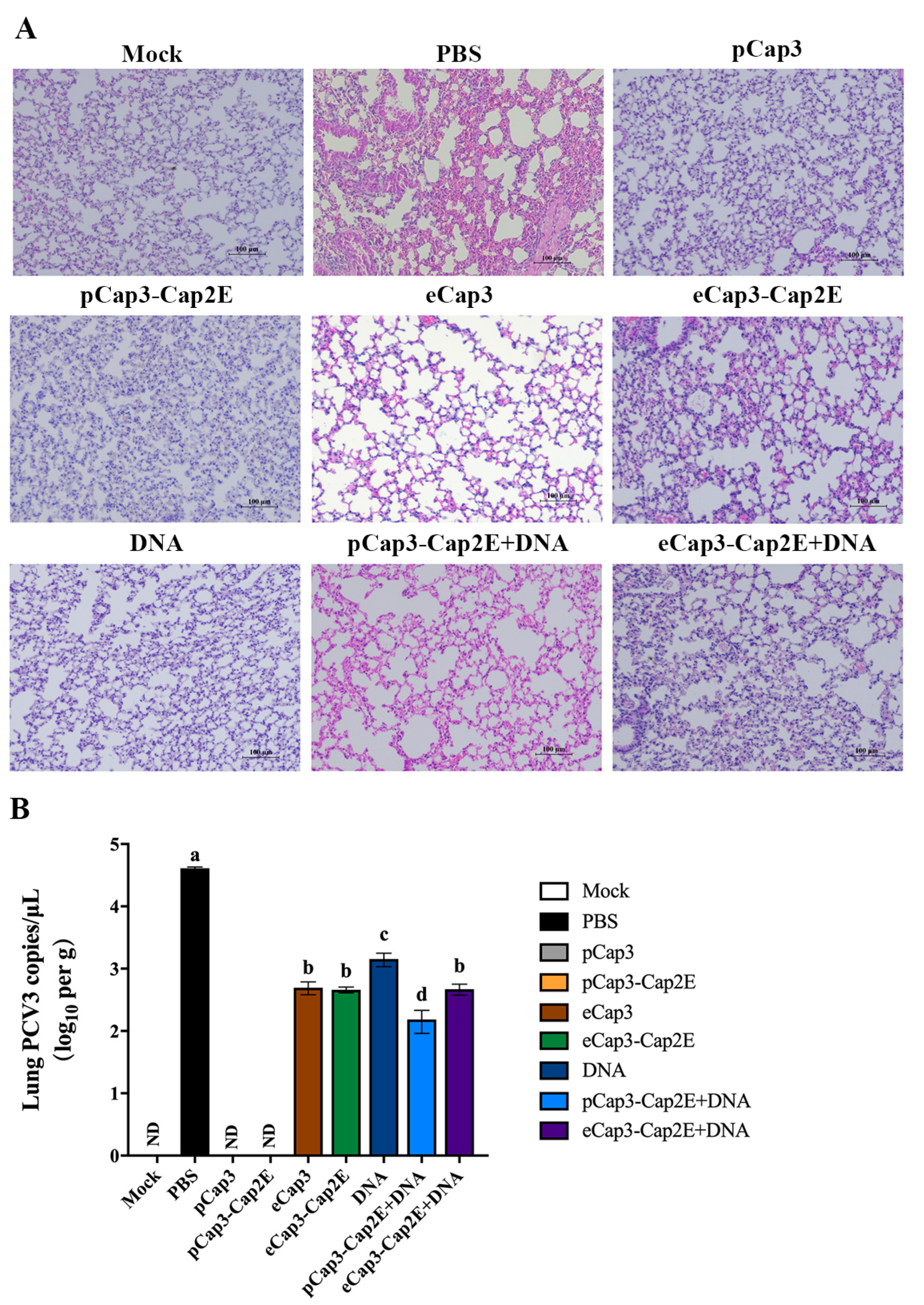 Vetsci 11 00264 g005