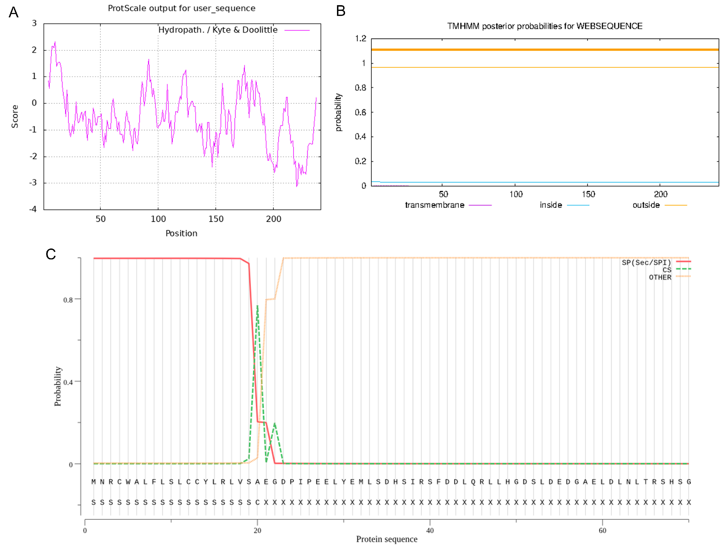 Vetsci 11 00266 g003