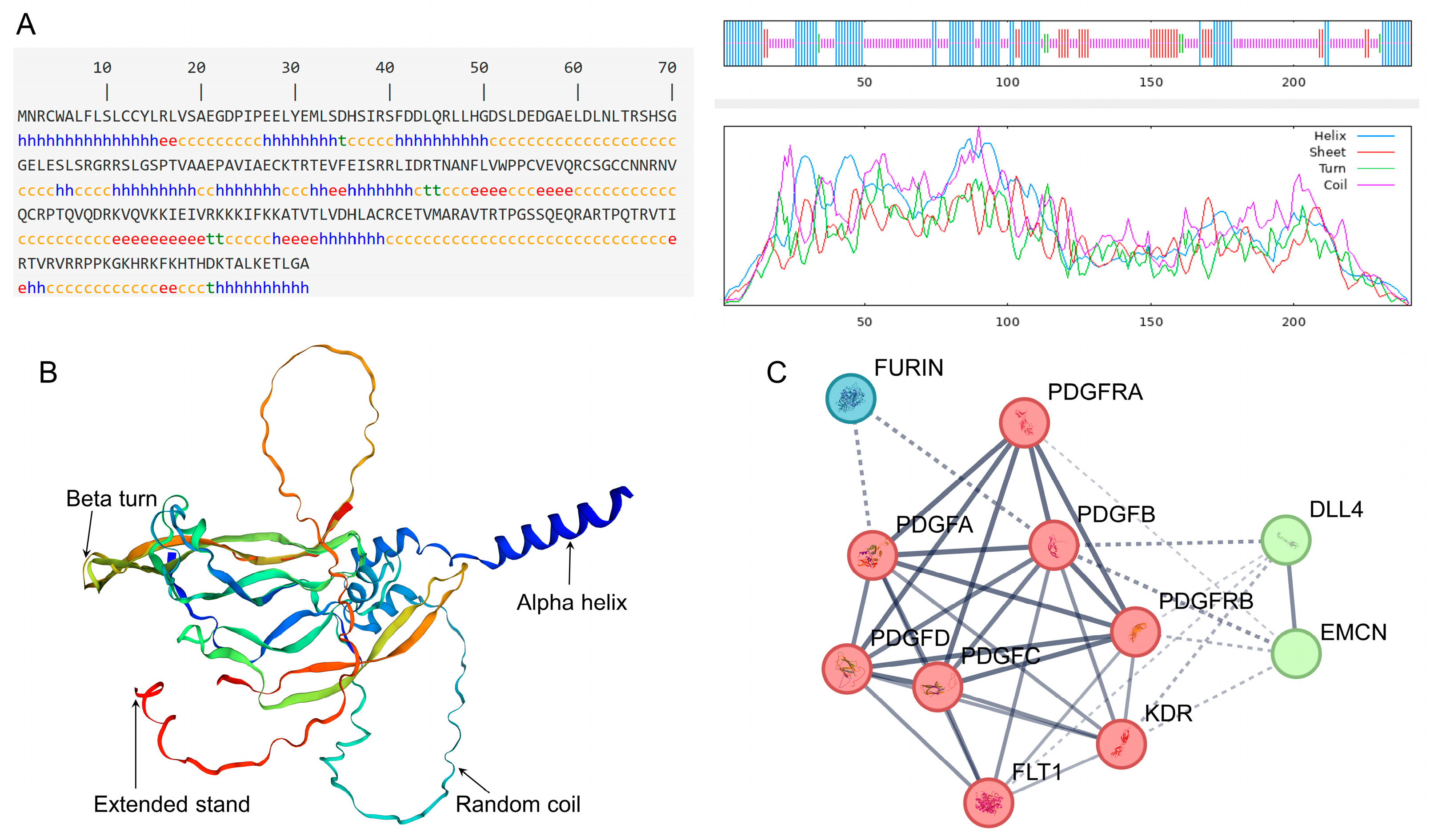 Vetsci 11 00266 g005