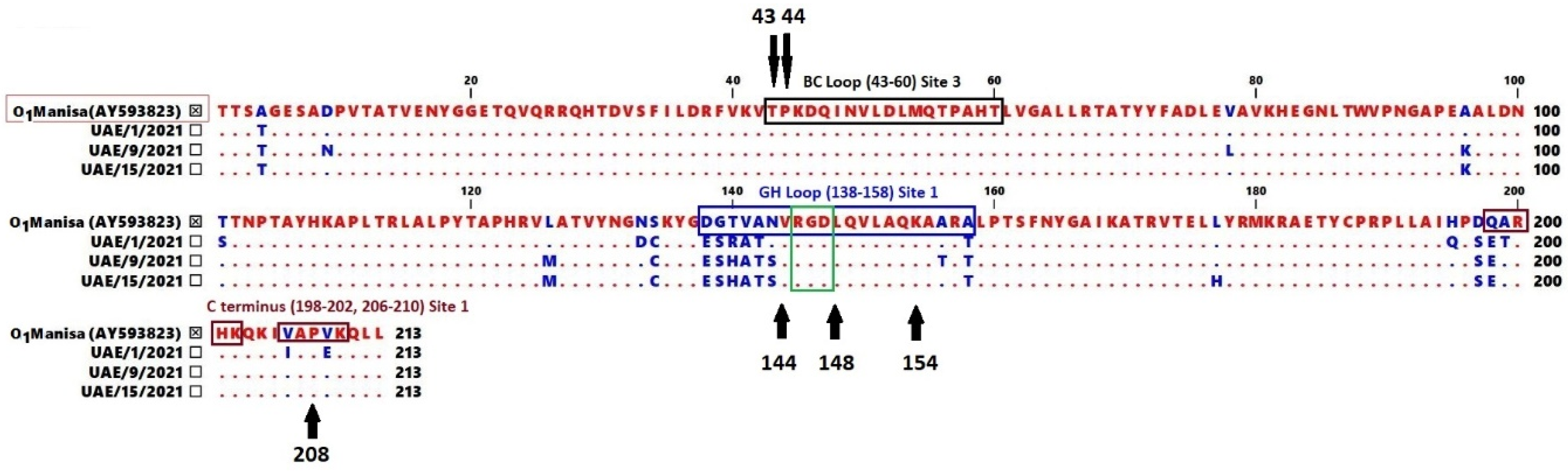 Vetsci 11 00272 g001