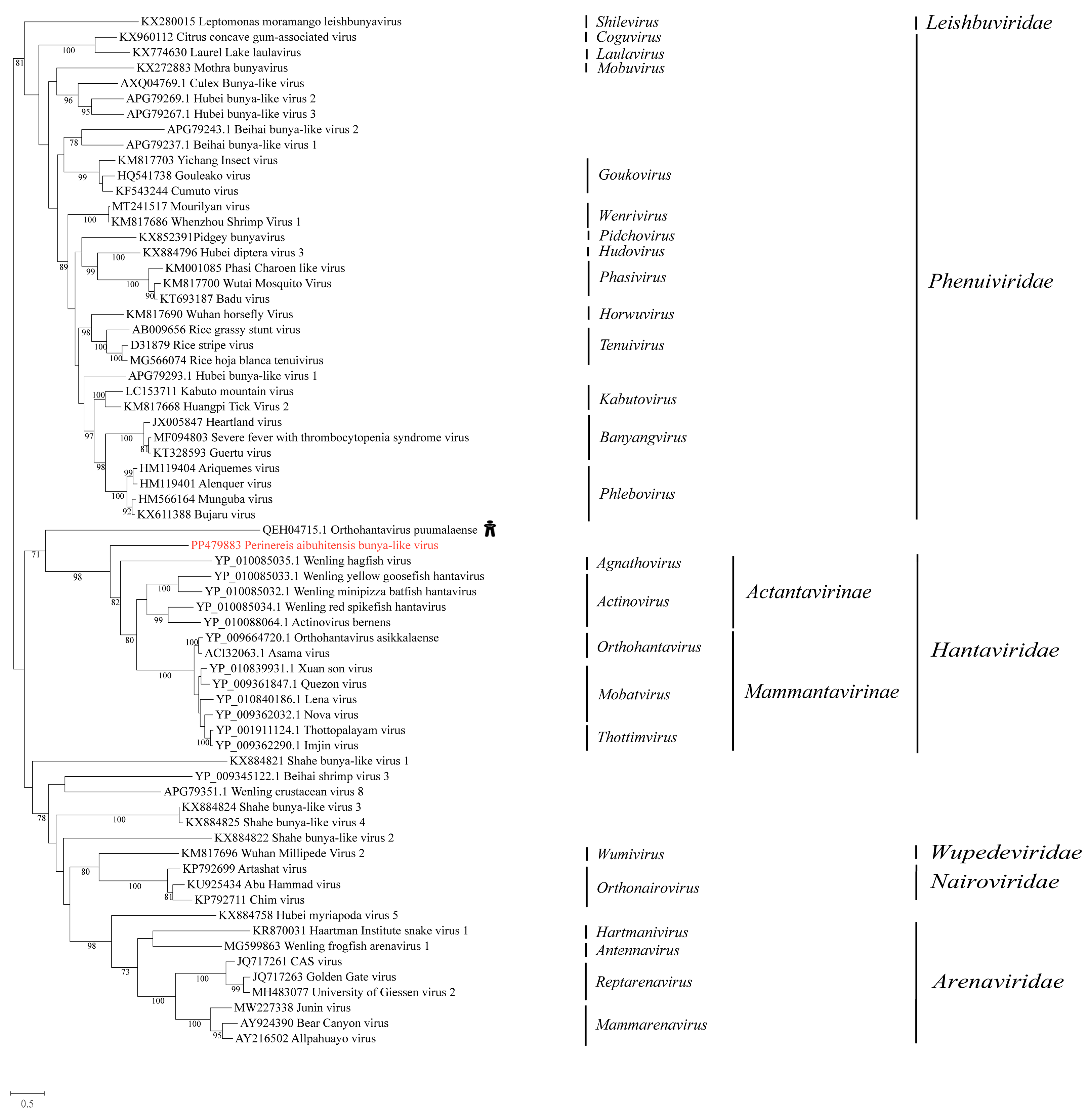 Vetsci 11 00273 g004