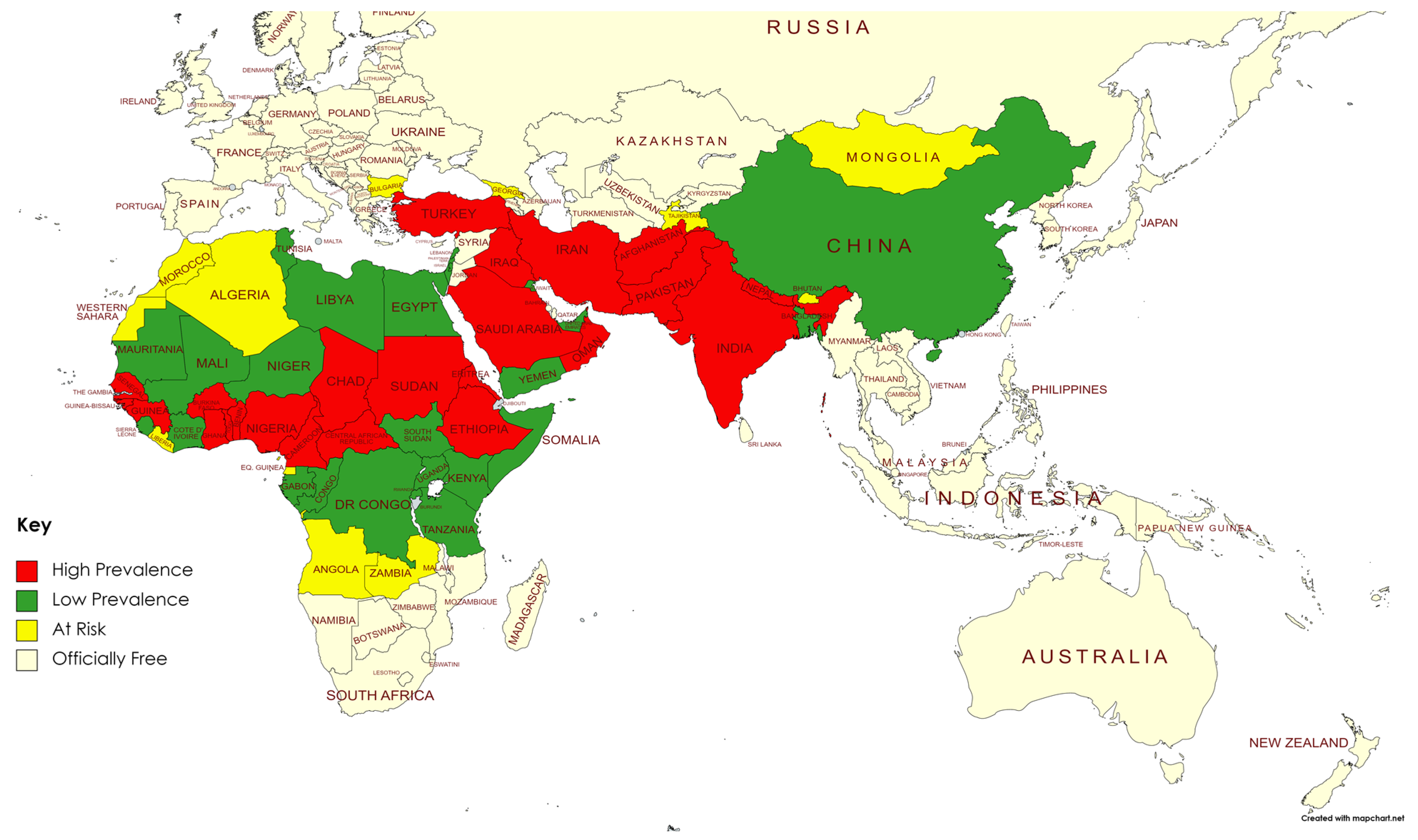 Vetsci 11 00280 g009