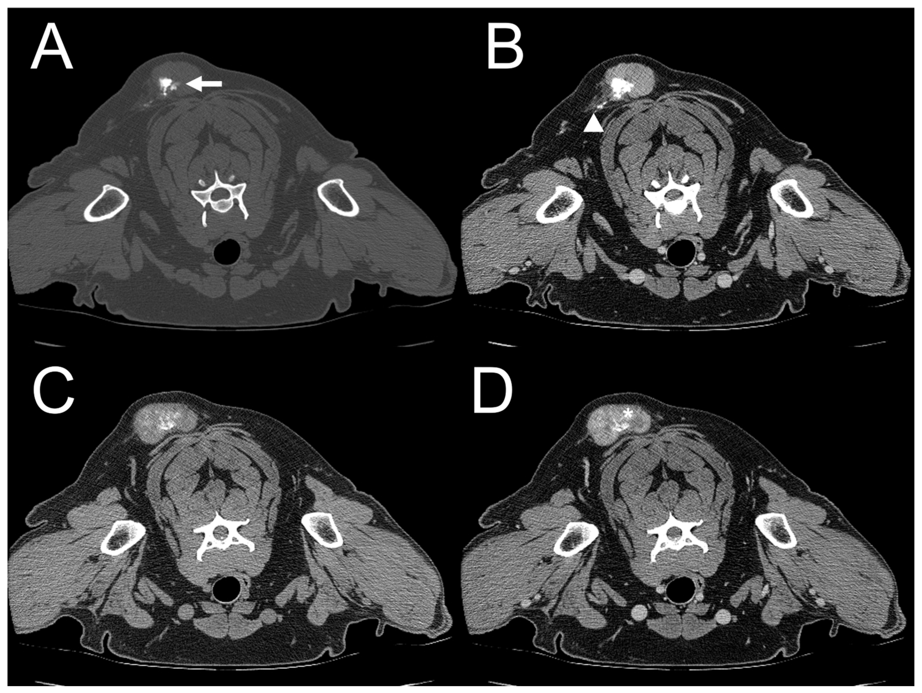 Vetsci 11 00282 g004