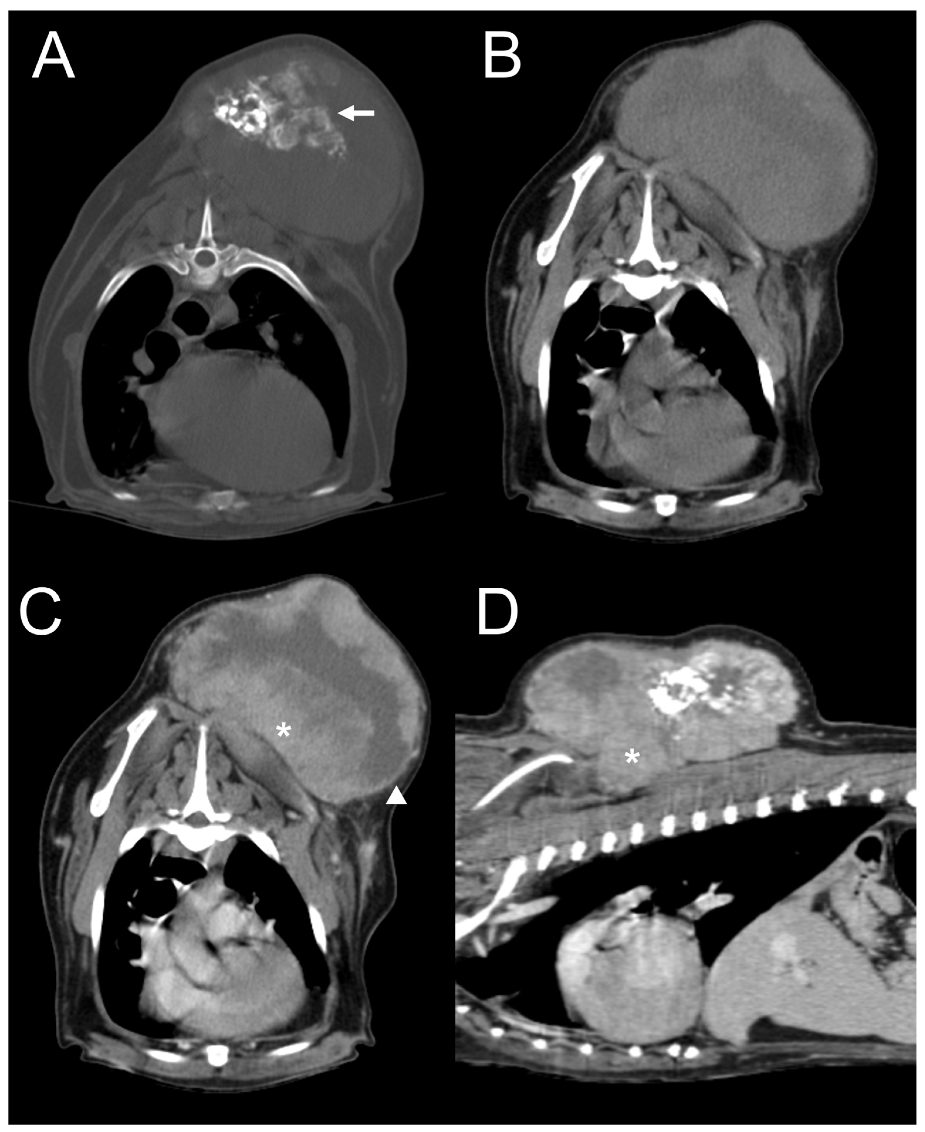 Vetsci 11 00282 g005