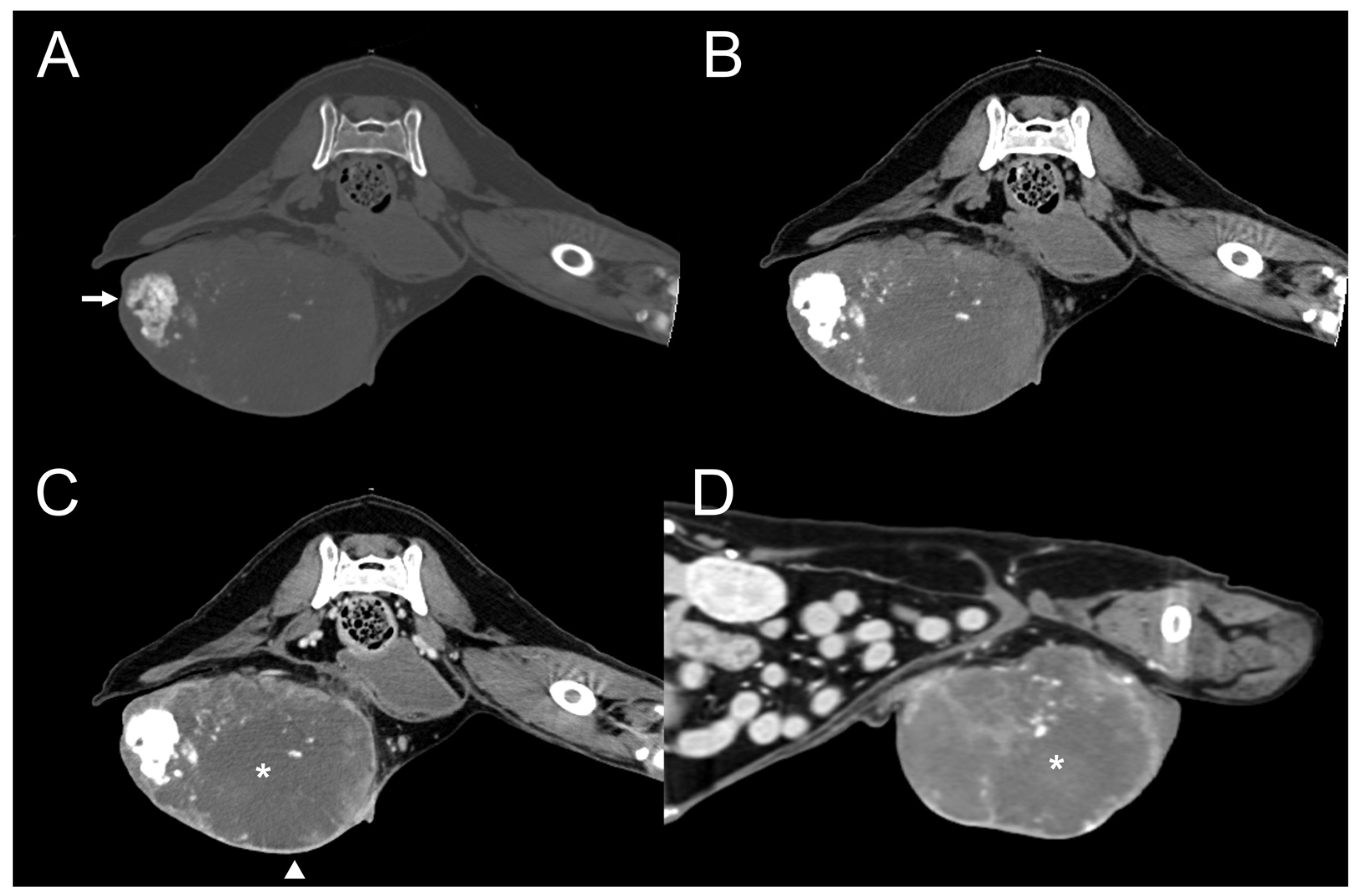Vetsci 11 00282 g006