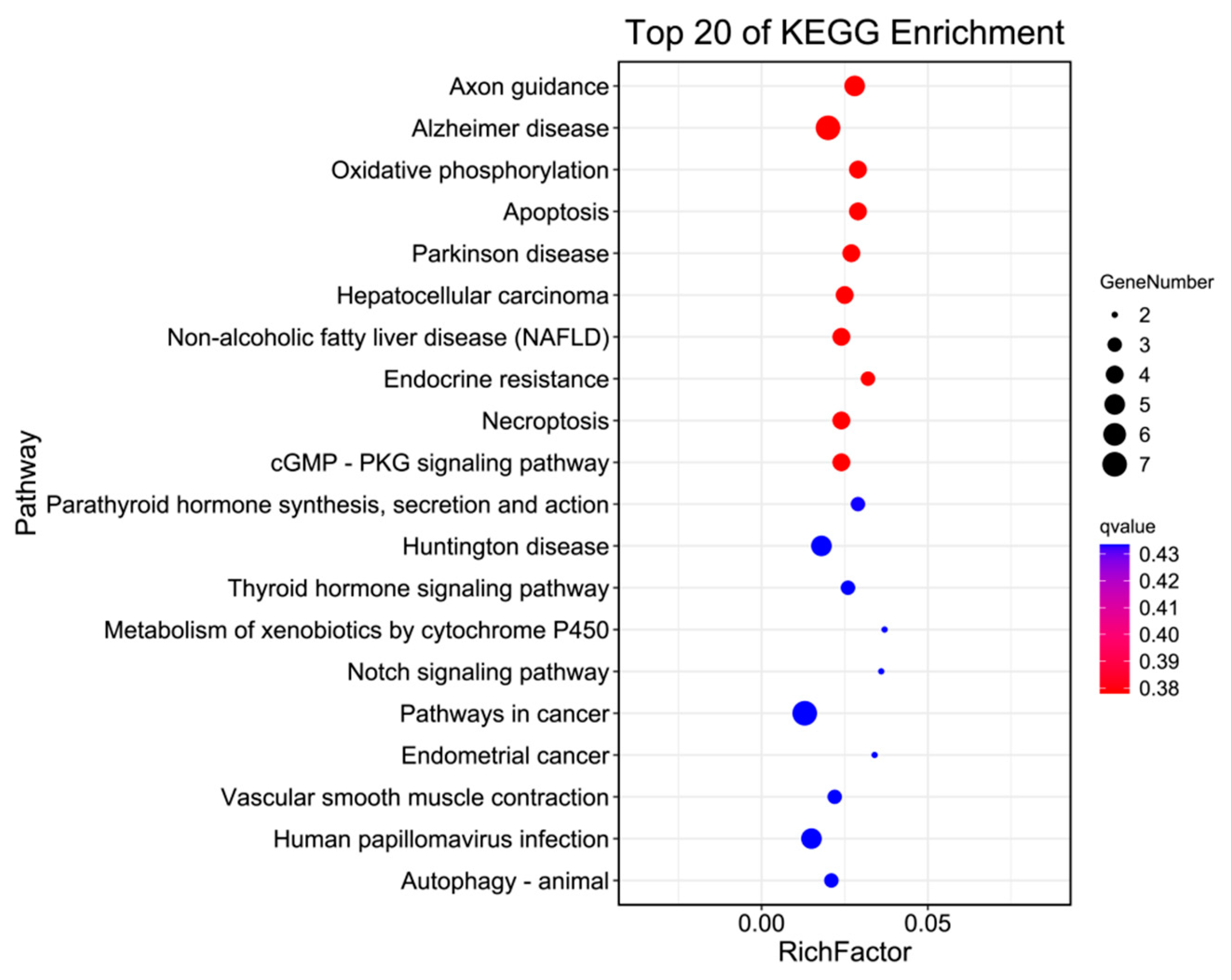 Vetsci 11 00283 g004