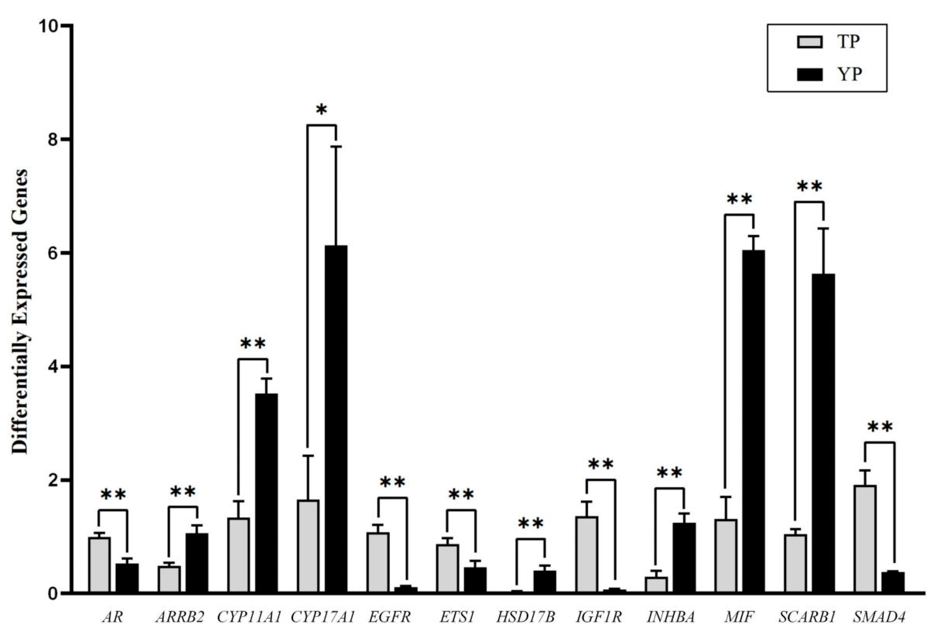 Vetsci 11 00283 g005