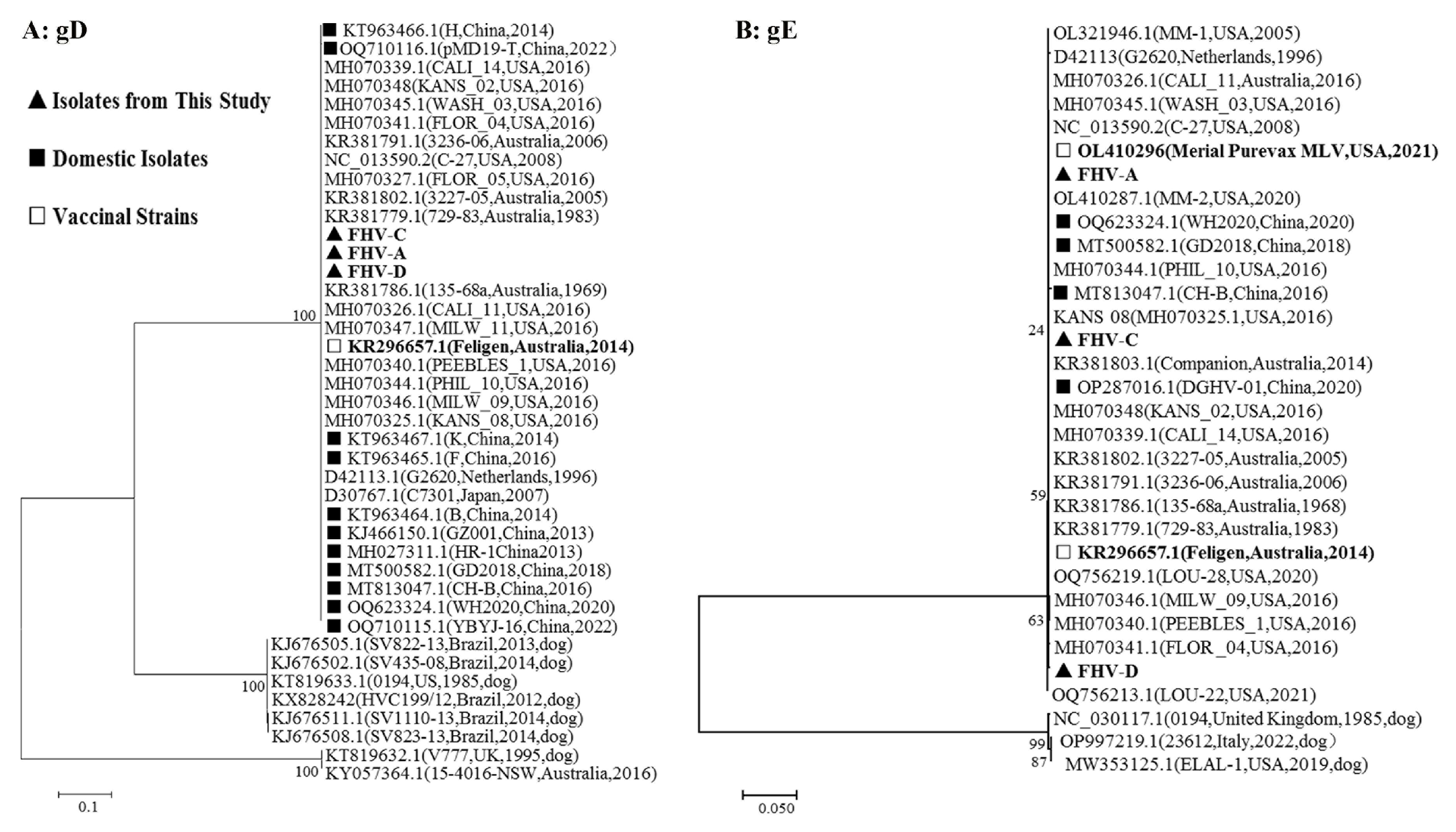 Vetsci 11 00285 g006