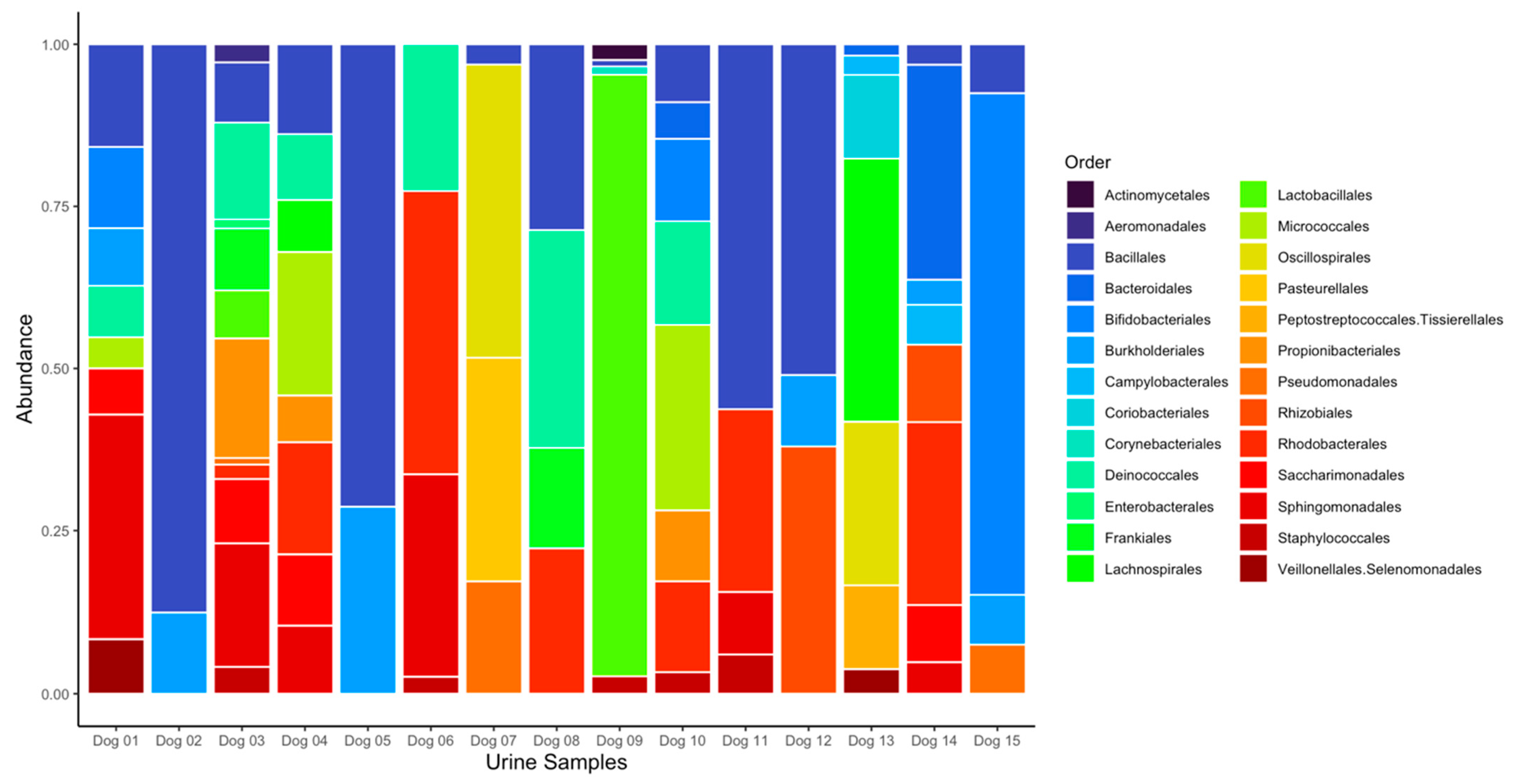 Vetsci 11 00286 g001