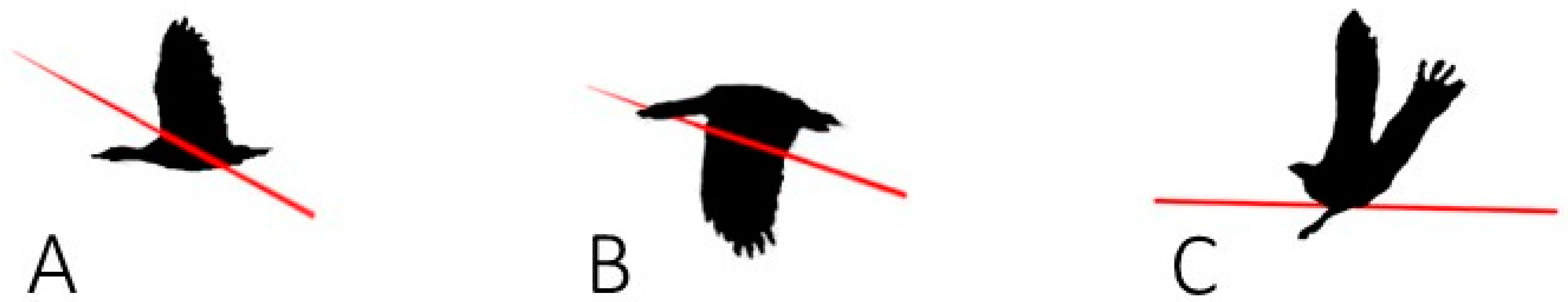 Vetsci 11 00287 g005