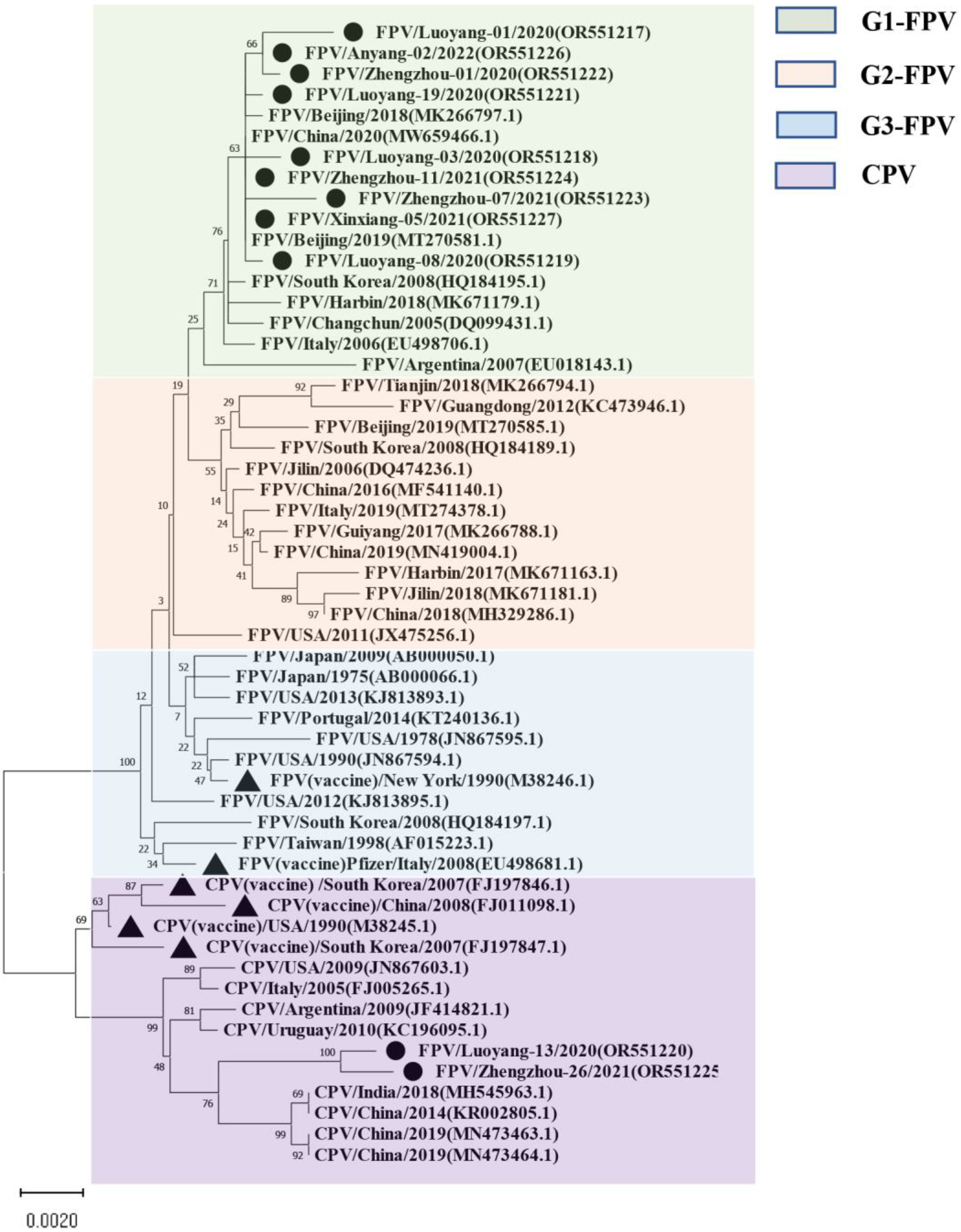 Vetsci 11 00292 g001