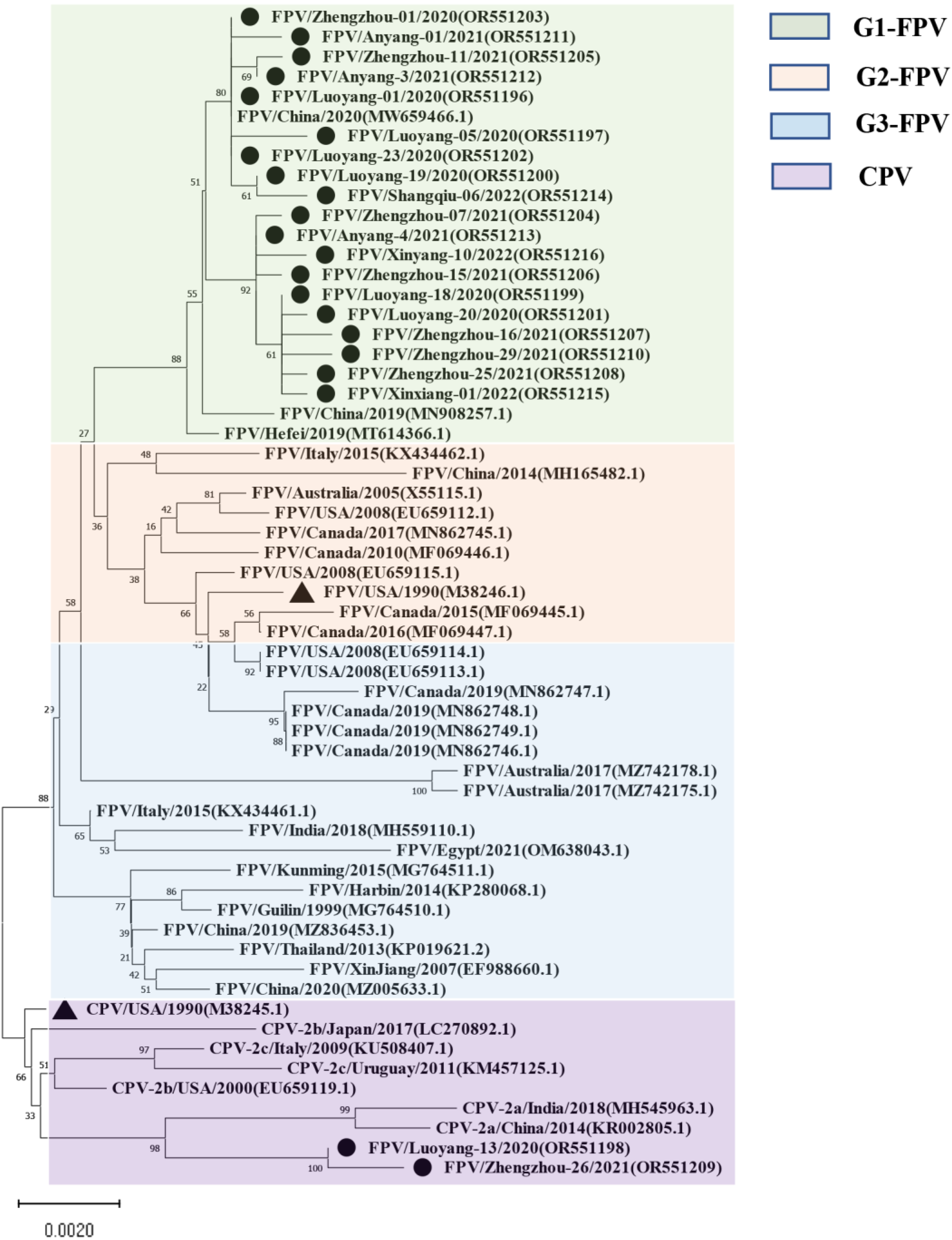 Vetsci 11 00292 g002