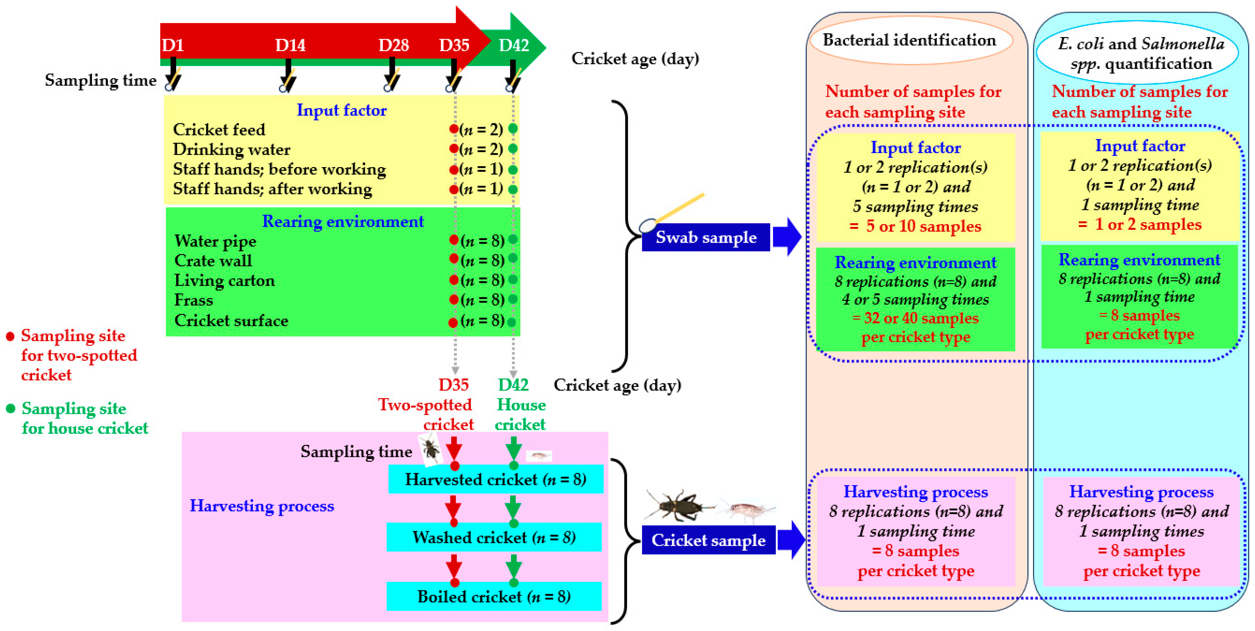 Vetsci 11 00295 g001