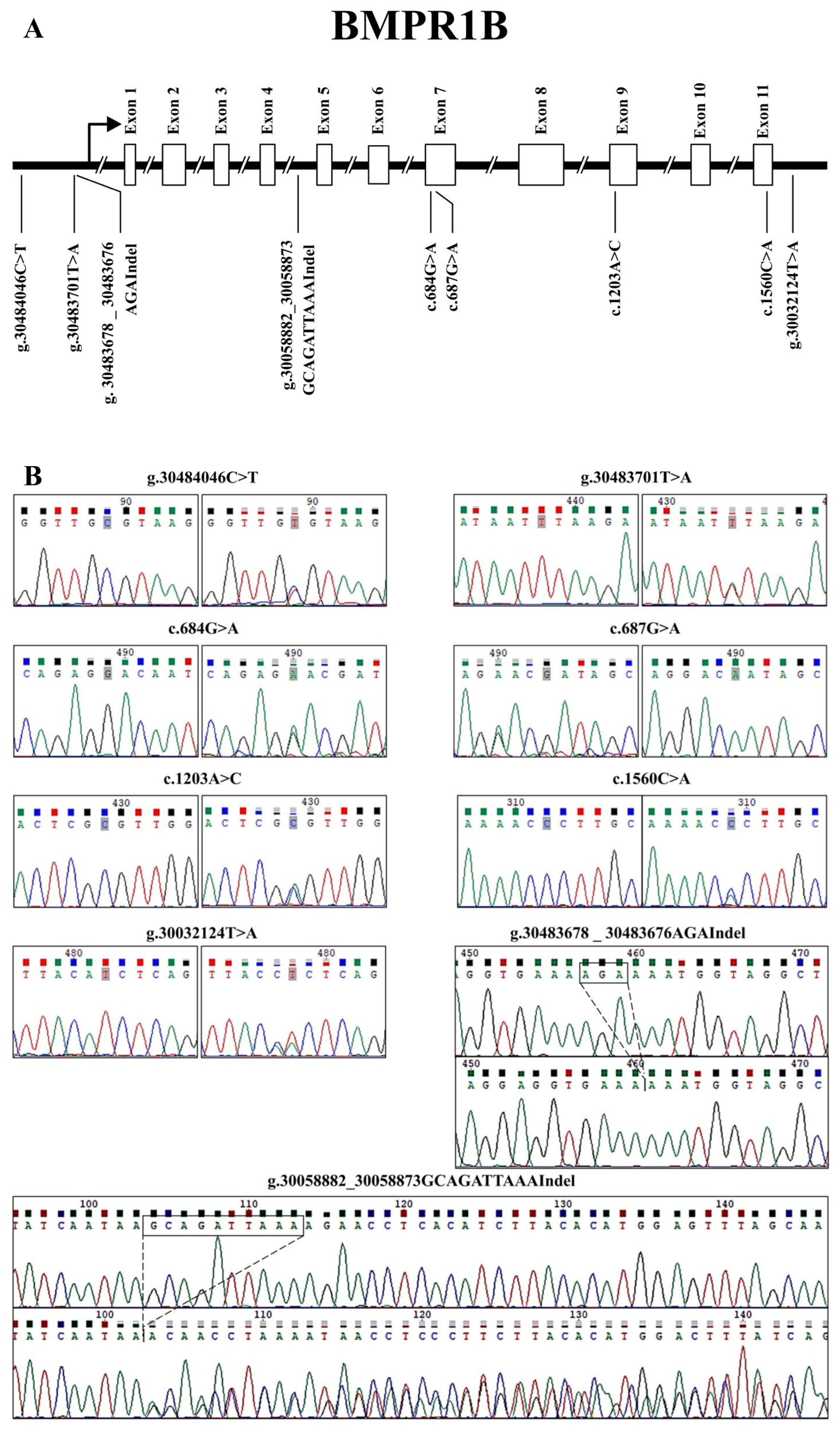 Vetsci 11 00297 g001