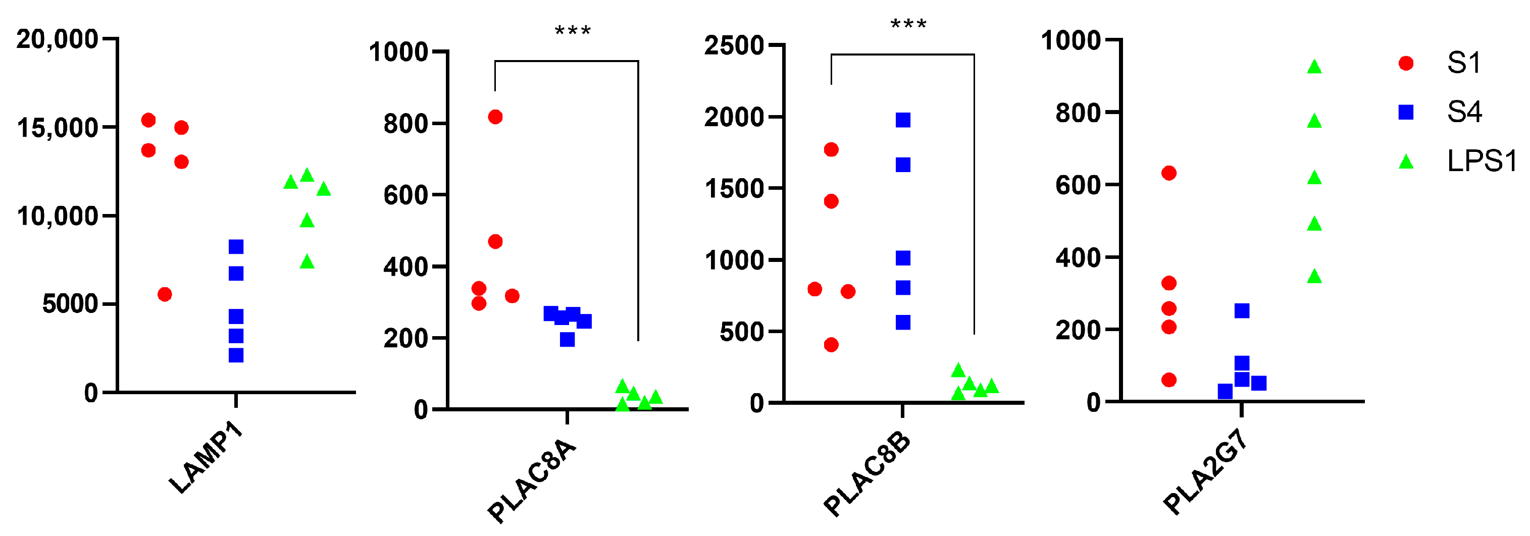 Vetsci 11 00299 g005