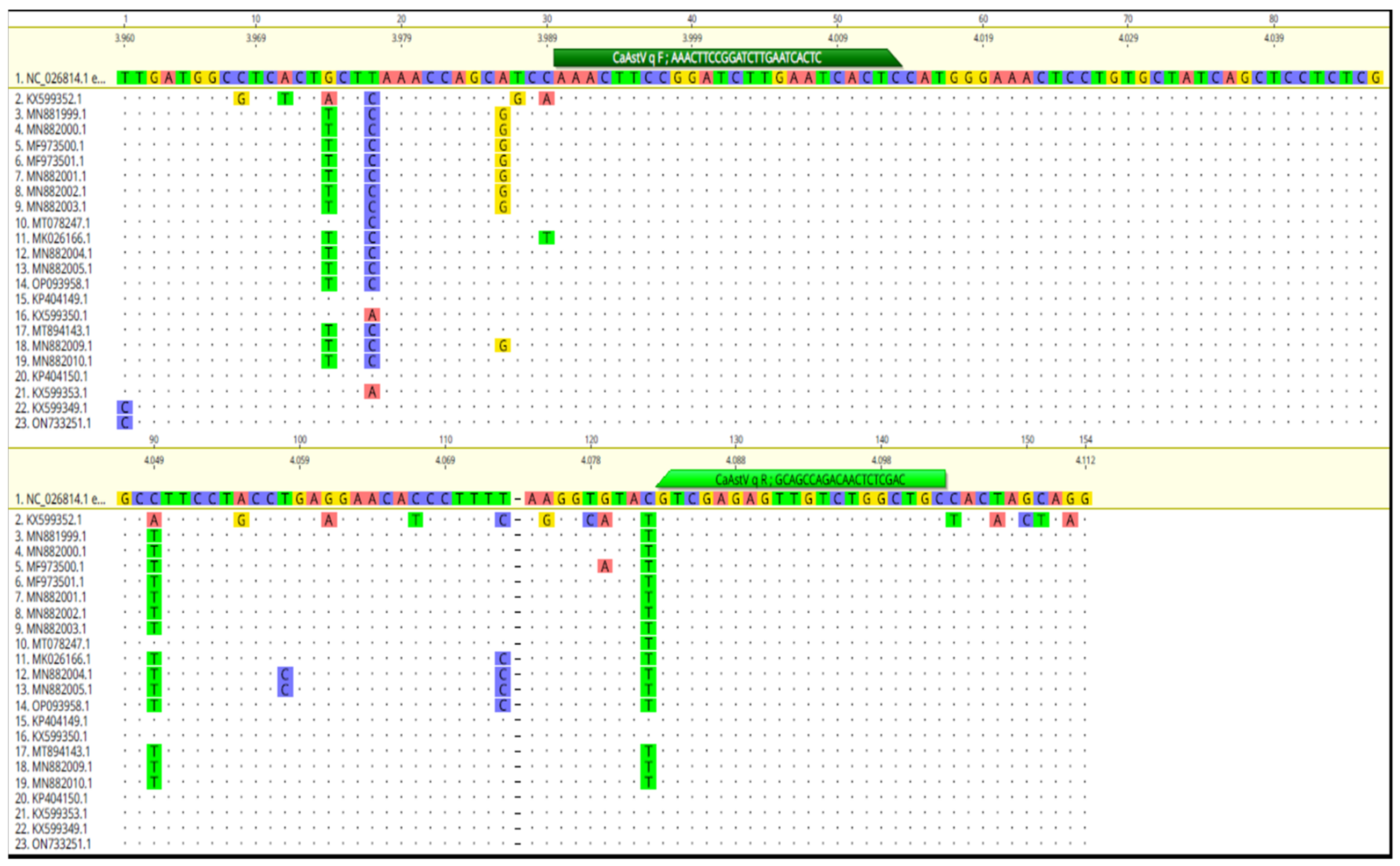 Vetsci 11 00303 g001