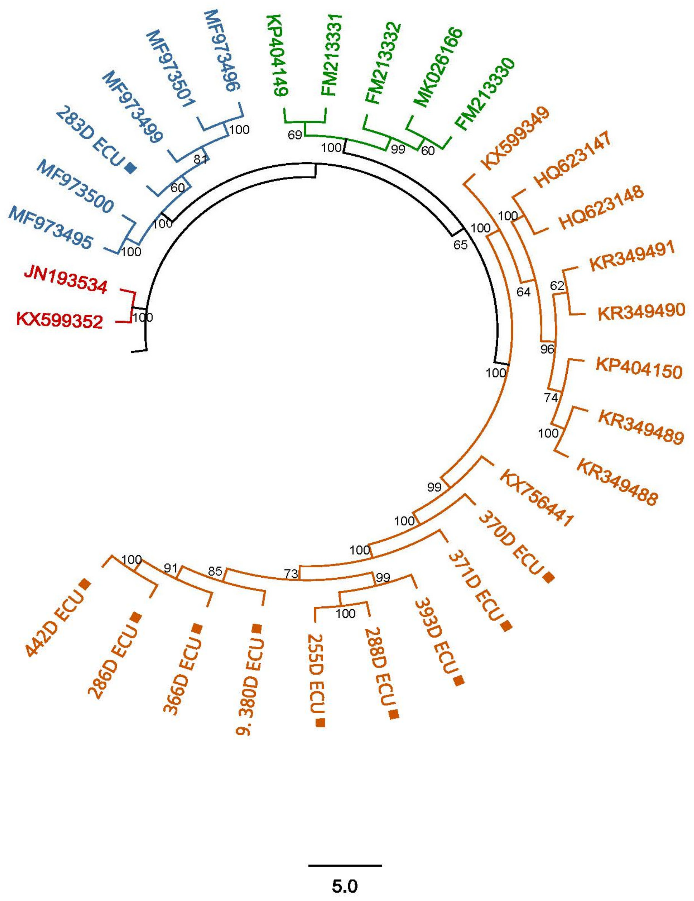 Vetsci 11 00303 g004