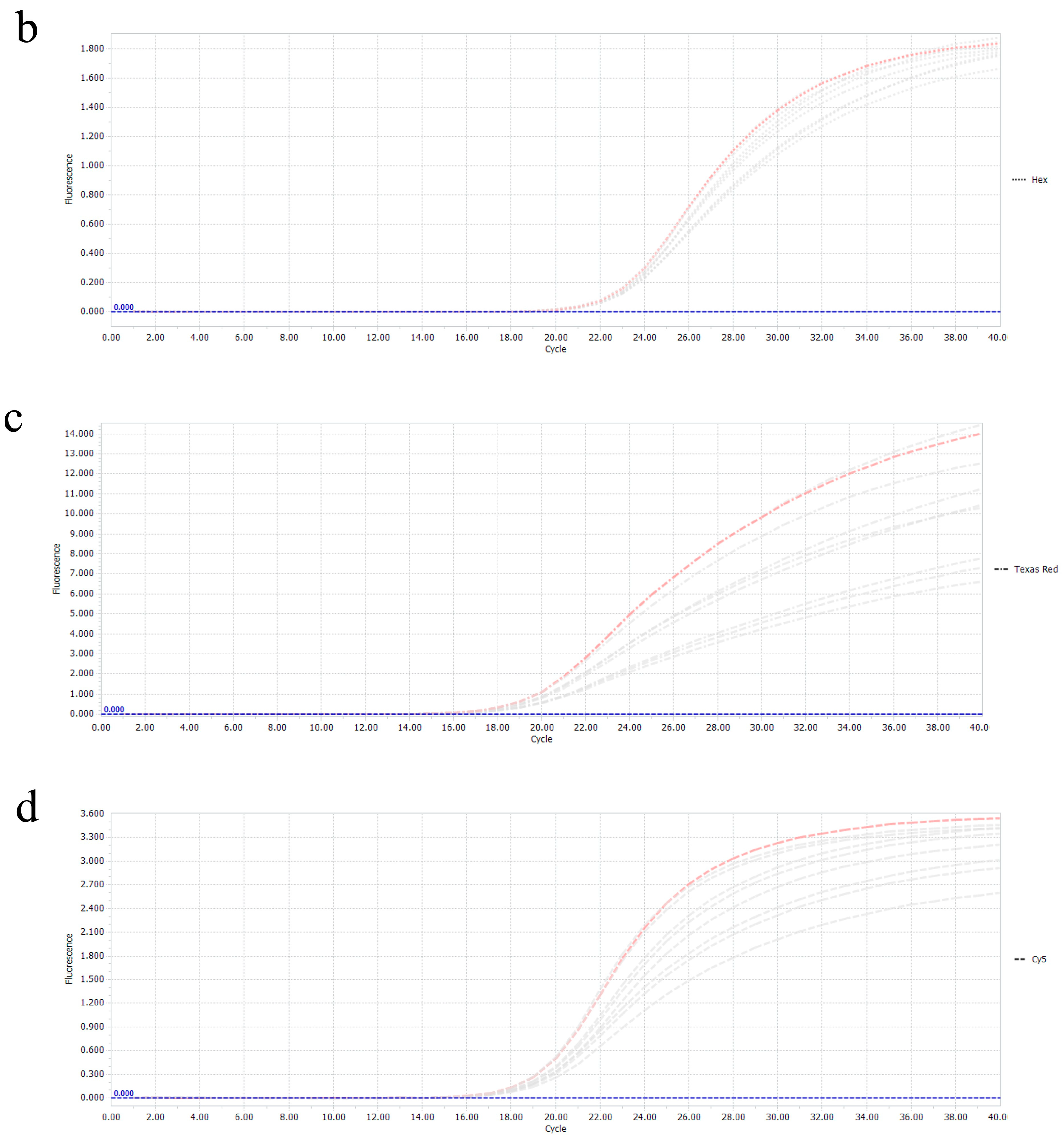 Vetsci 11 00305 g002b