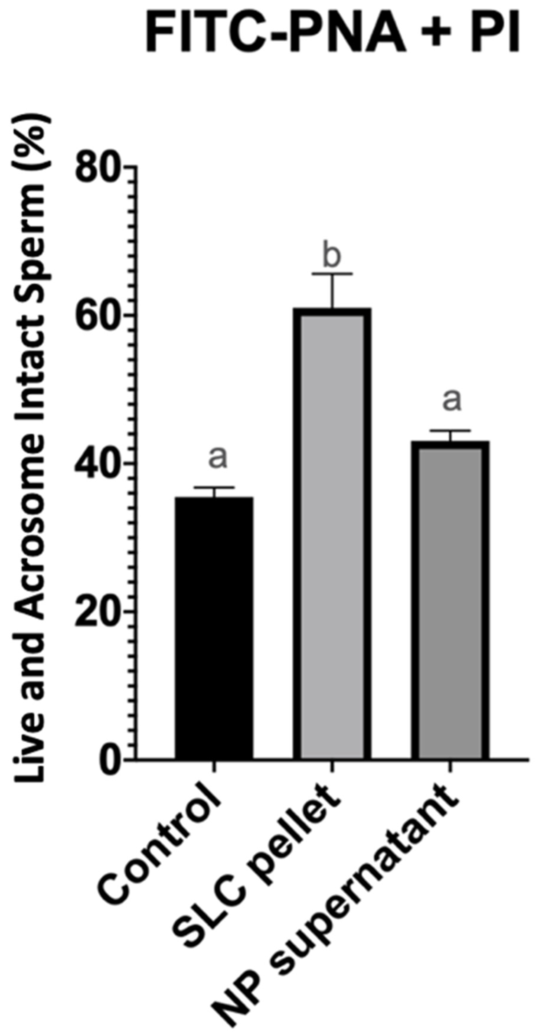 Vetsci 11 00307 g002