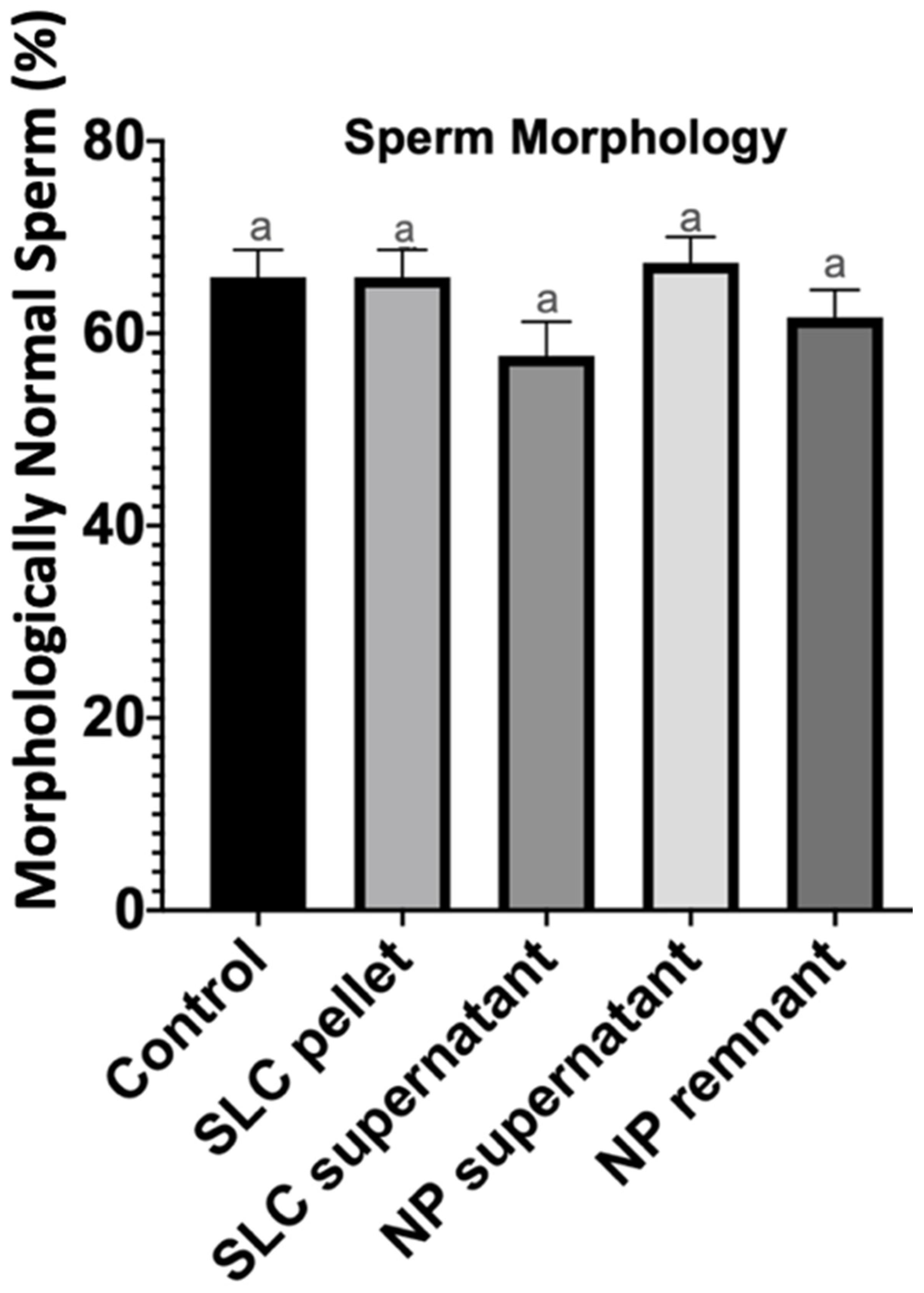 Vetsci 11 00307 g003