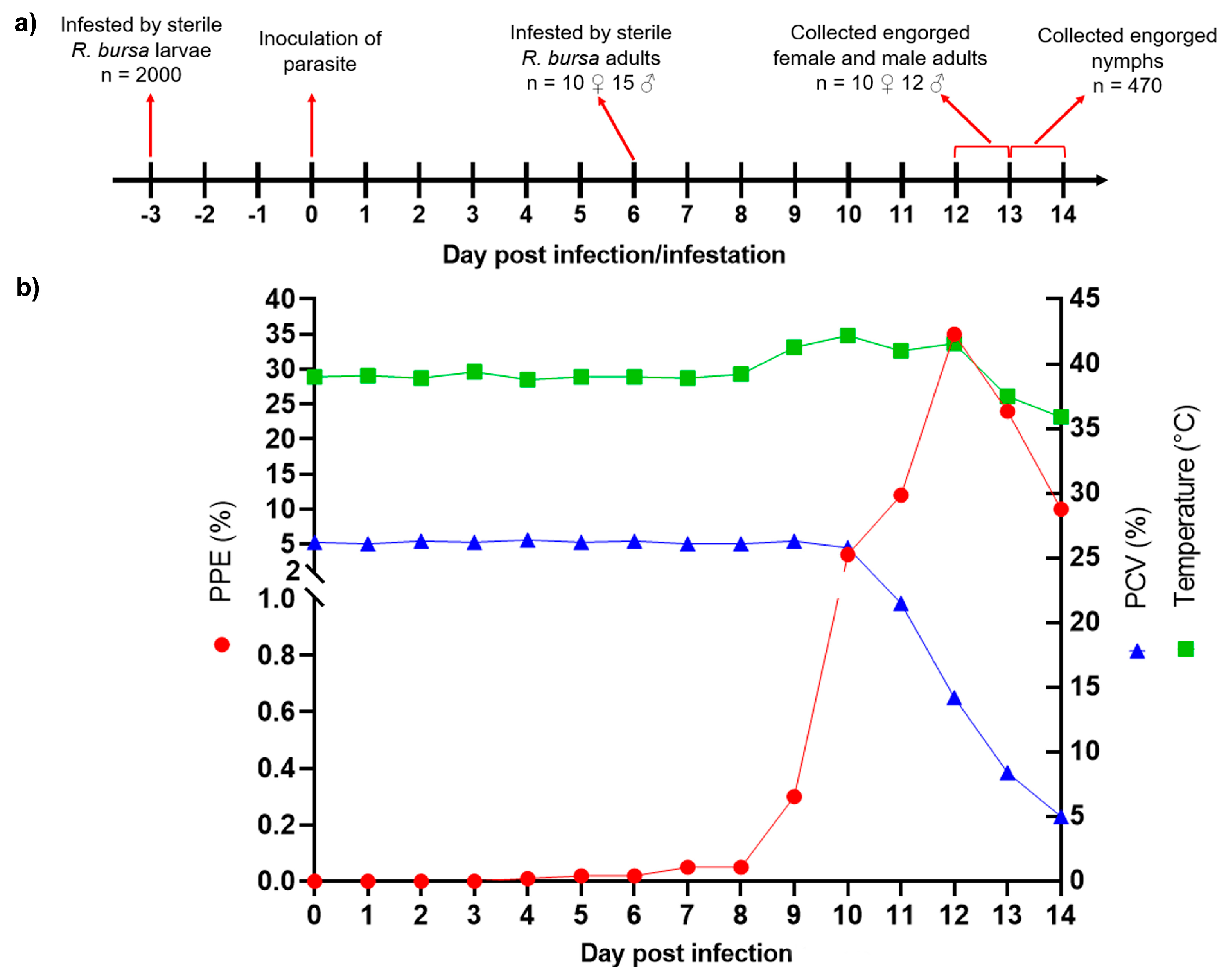 Vetsci 11 00309 g003