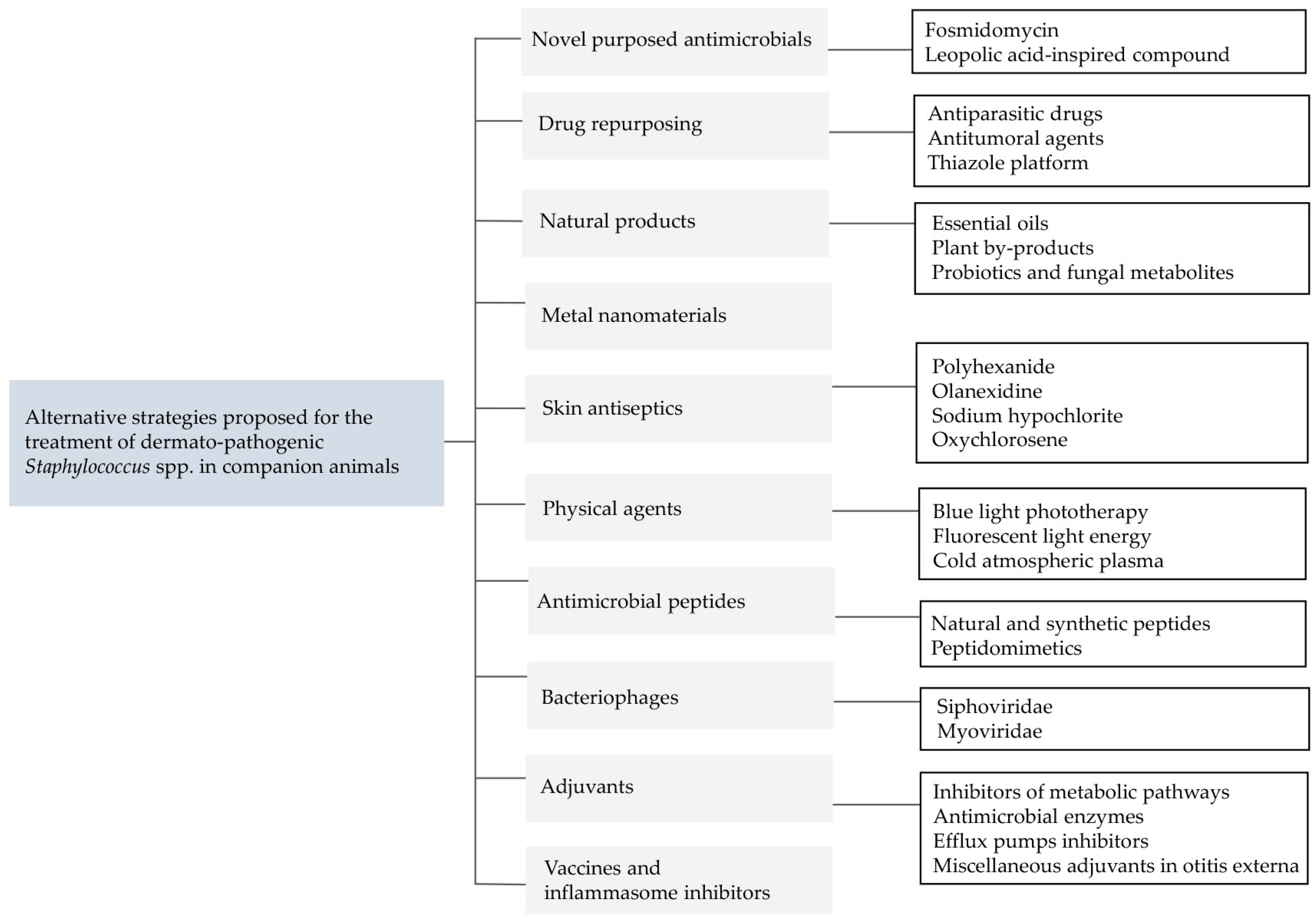 Vetsci 11 00311 g001