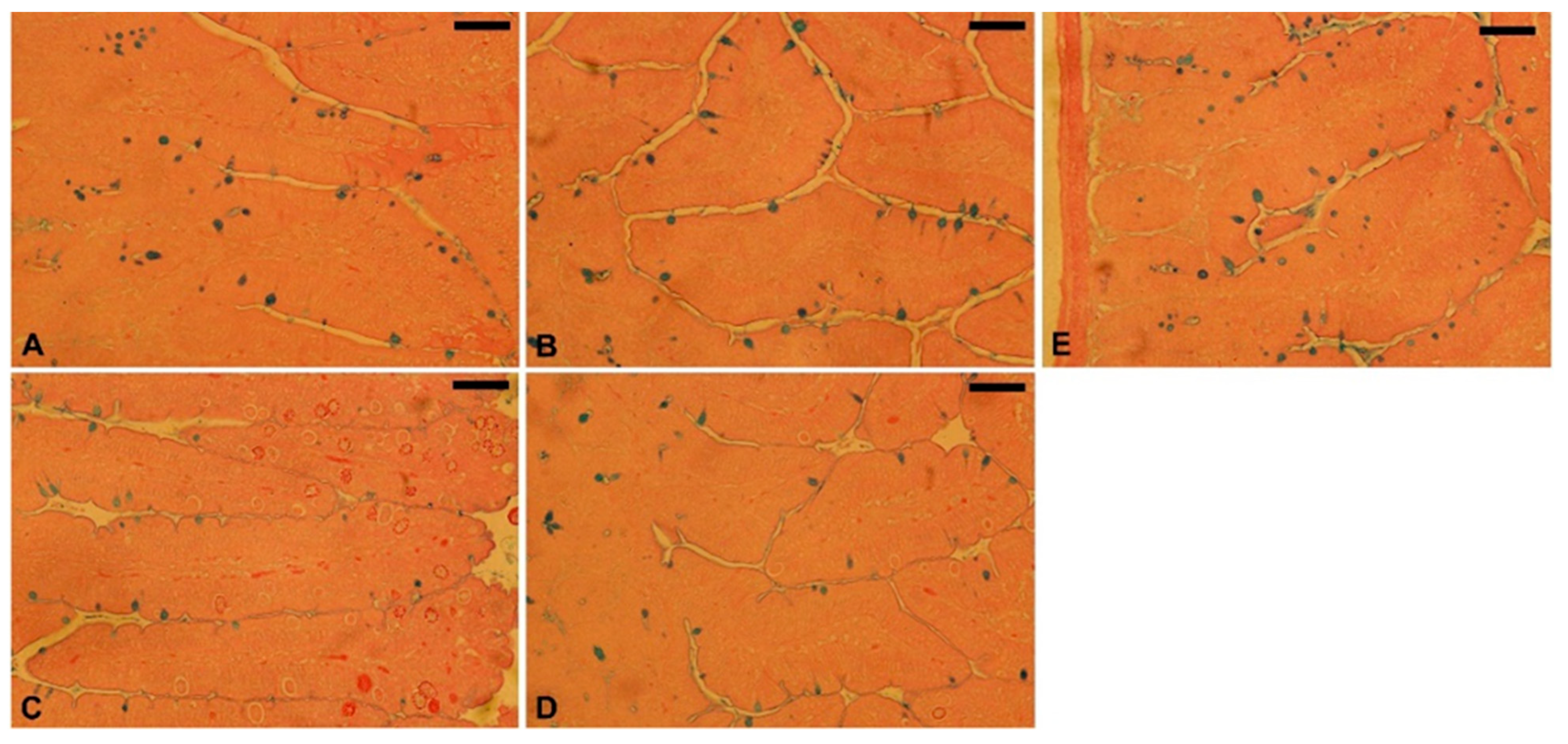 Vetsci 11 00314 g007
