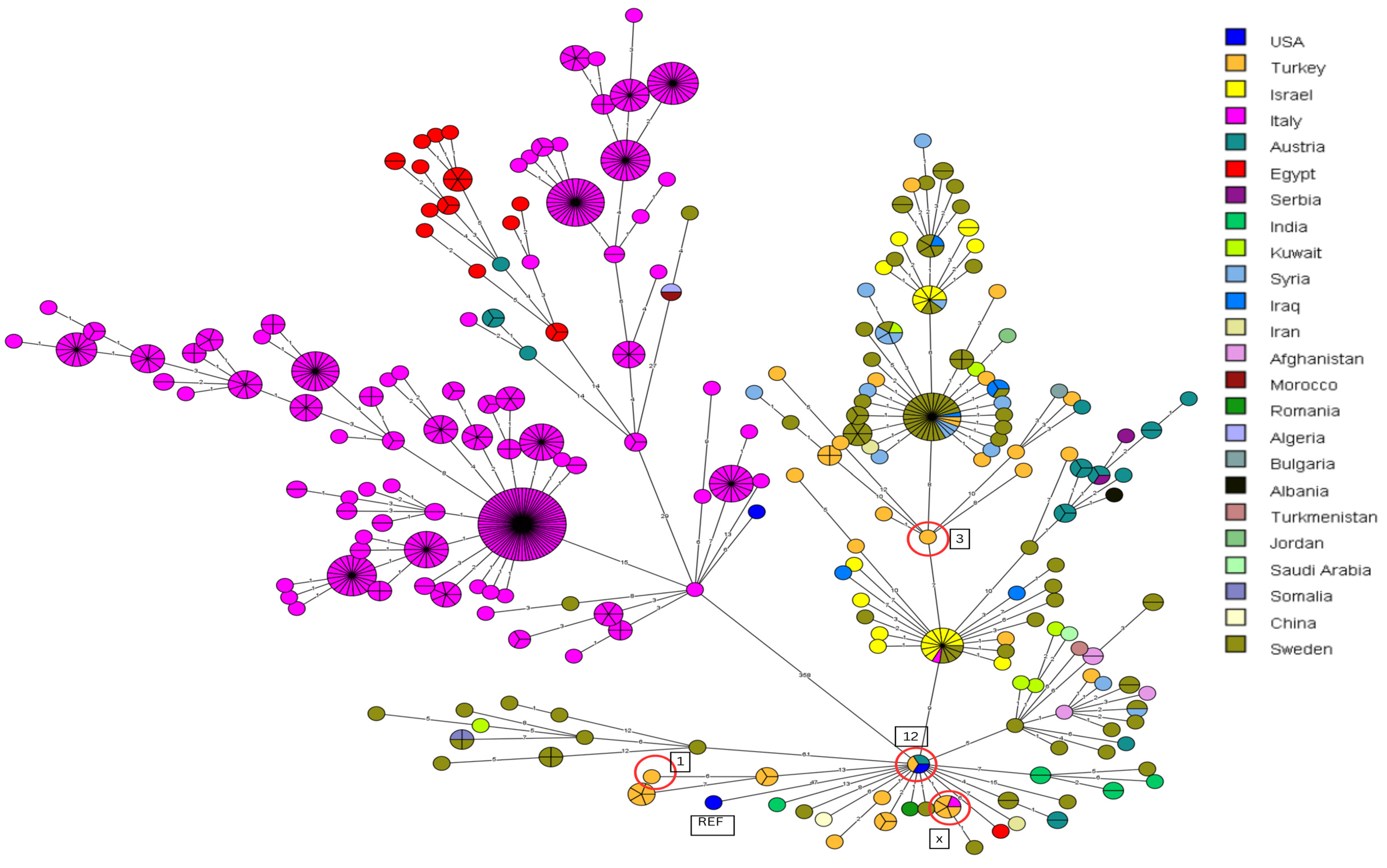 Vetsci 11 00316 g002