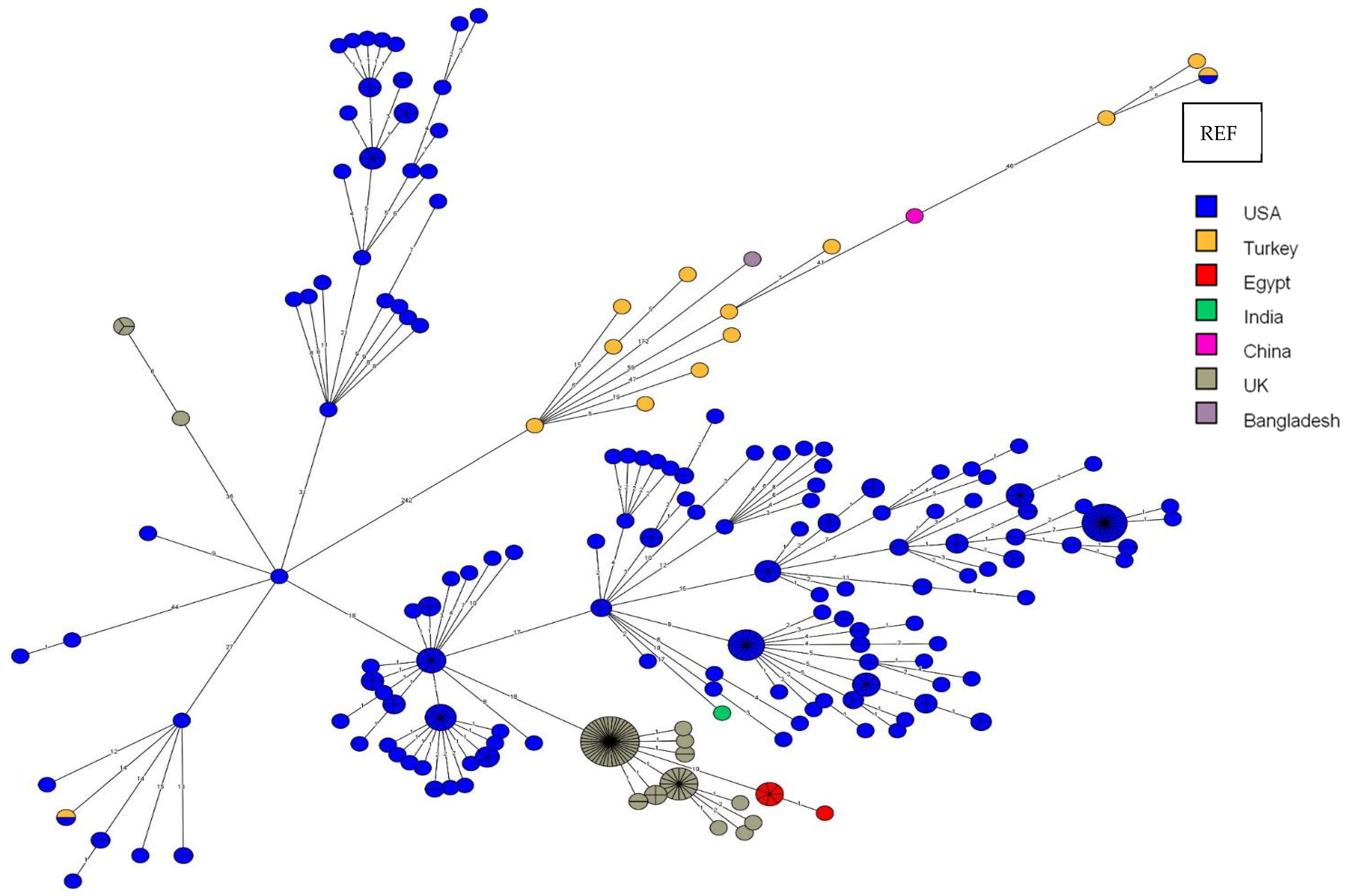 Vetsci 11 00316 g003