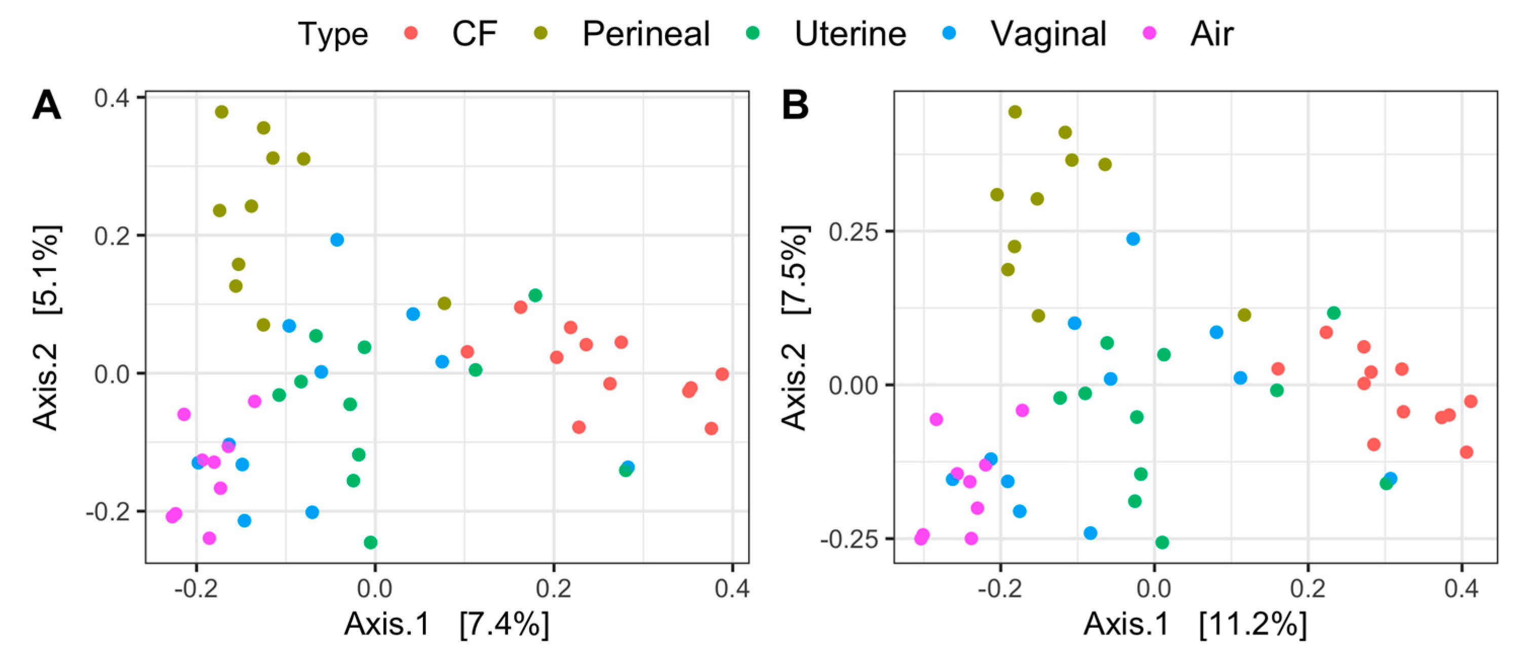 Vetsci 11 00323 g002