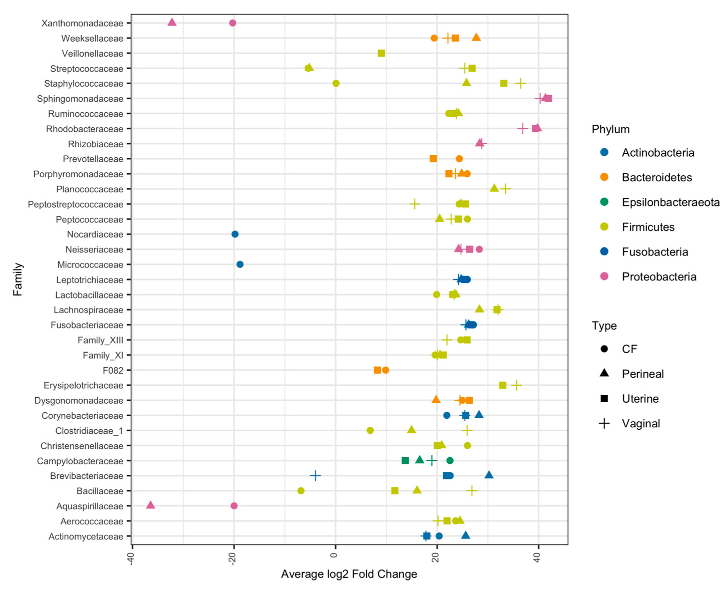 Vetsci 11 00323 g004